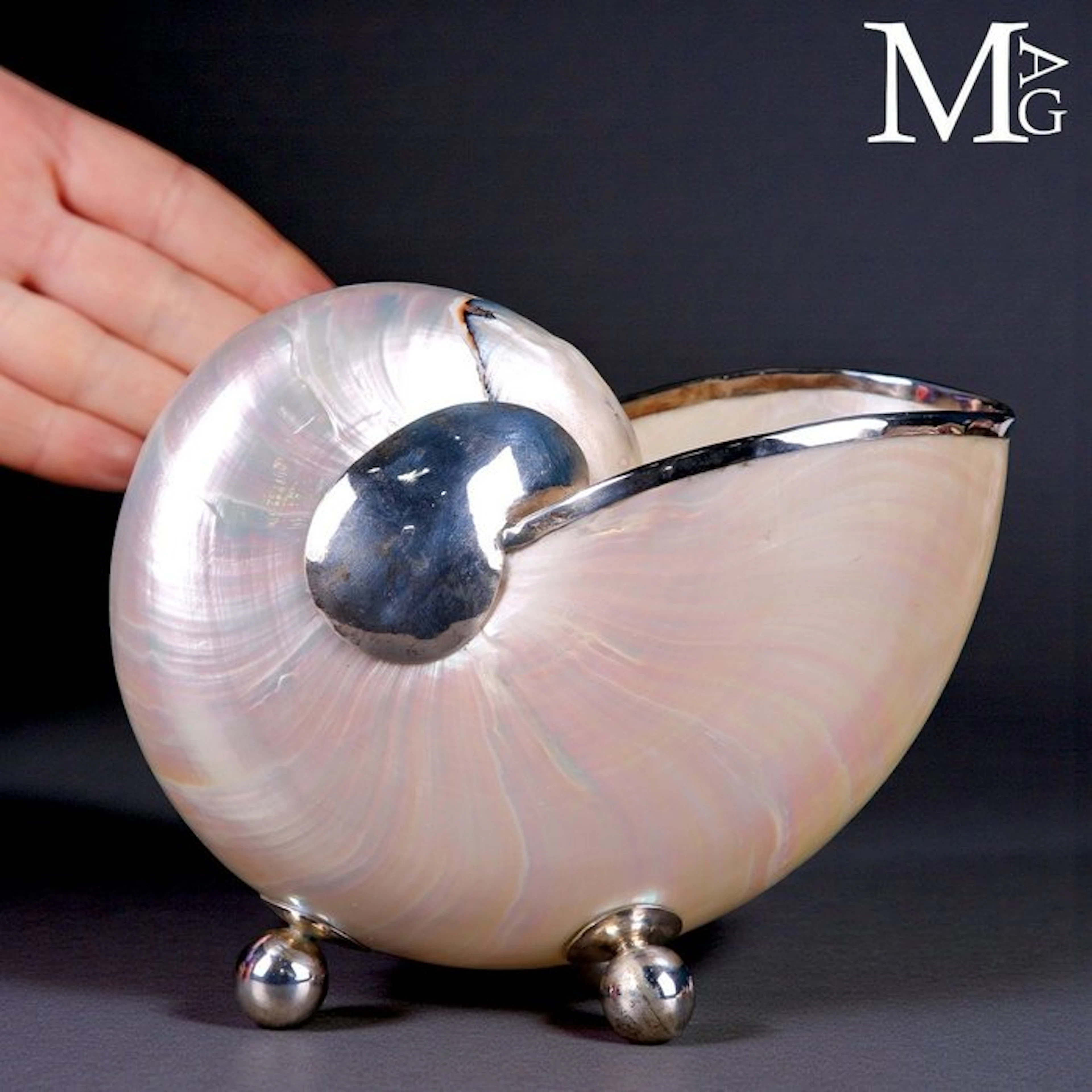 Iridescent Mother-of-Pearl Nautilus Shell with Fine...