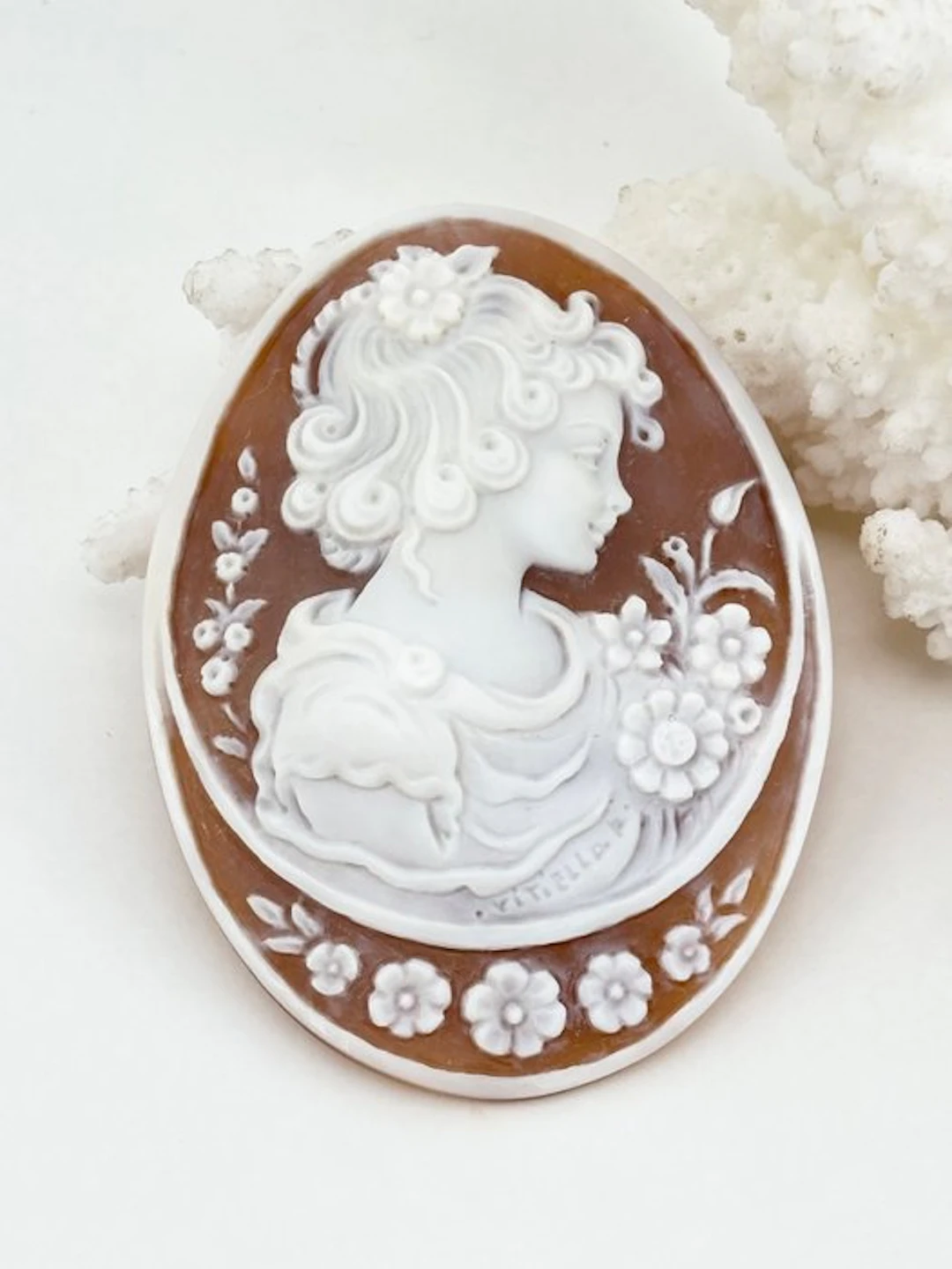 Cassis madagascariensis - Cameo - Hand-carved cameo