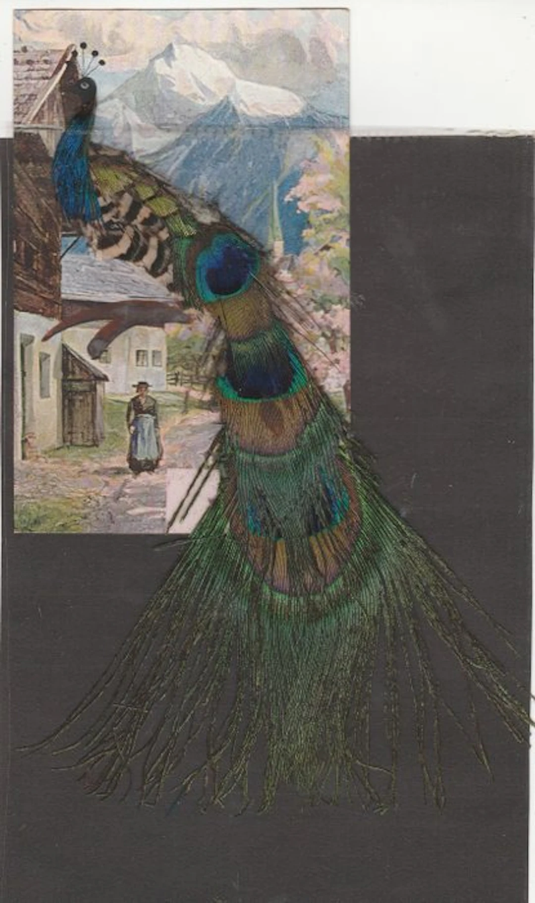 Bird's-eye-view postcards with real feathers - Postcard (7) - 1896-1910