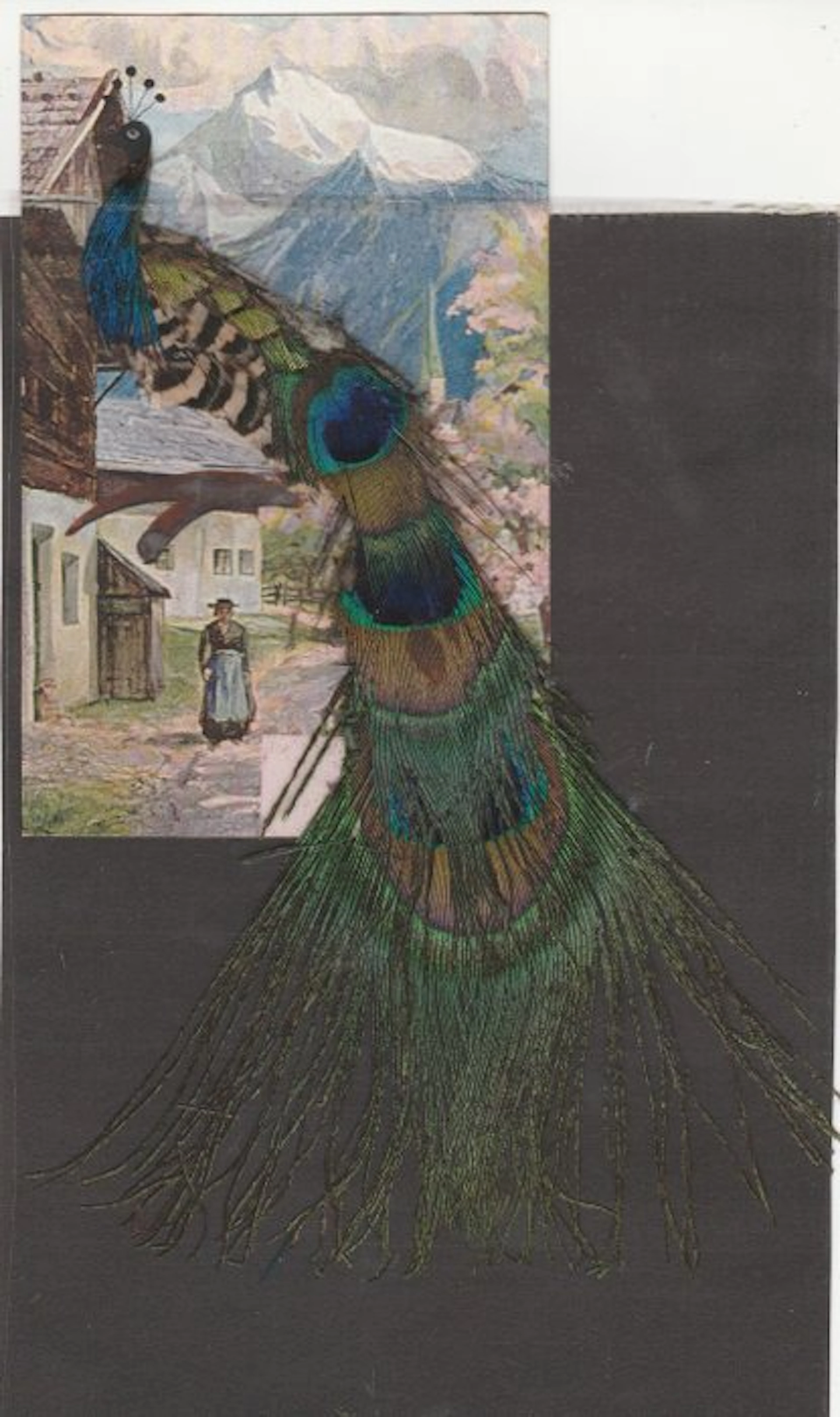 Bird's-eye-view postcards with real feathers - Postcard (7) - 1896-1910