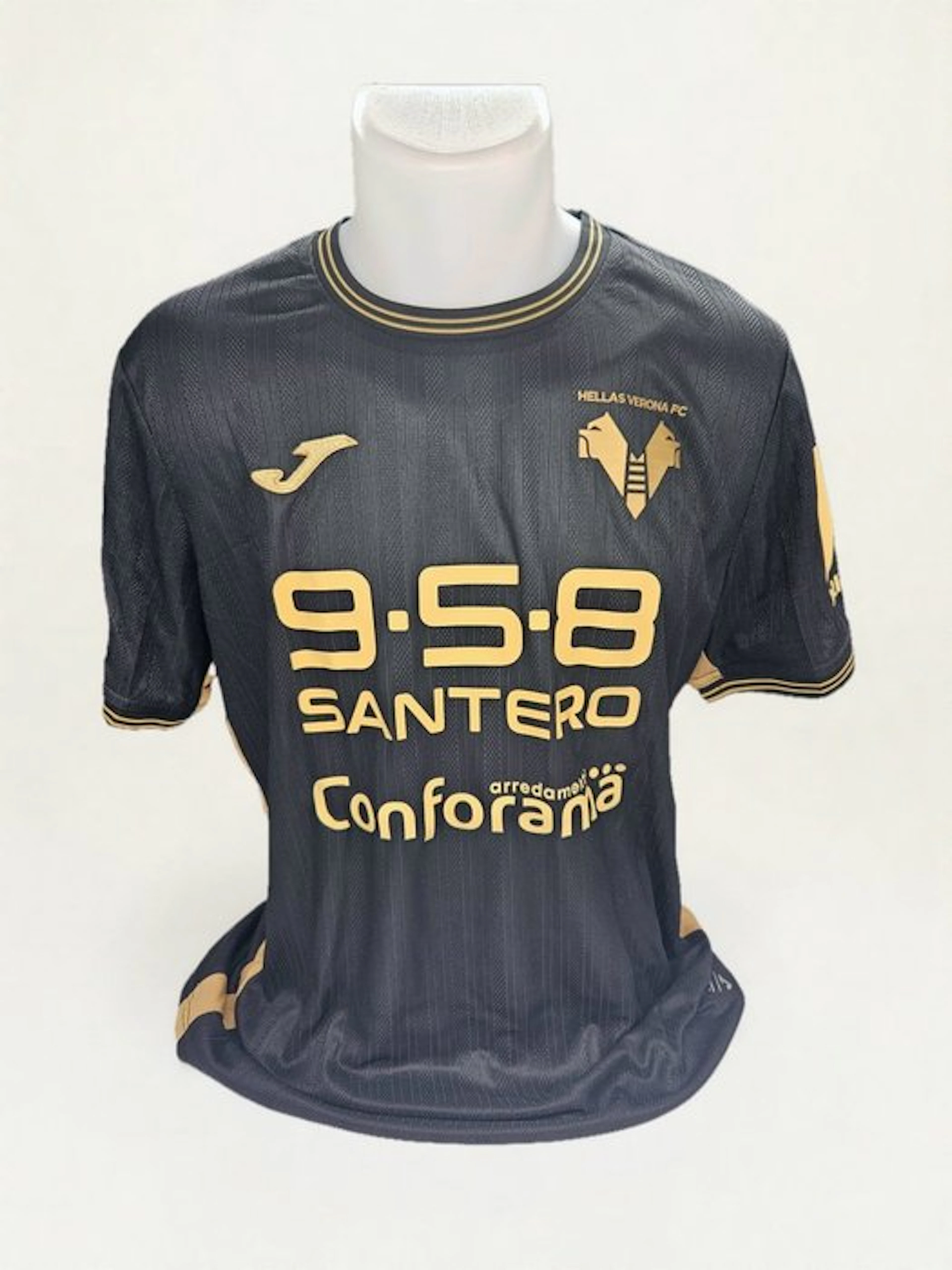 Hellas Verone - Italian Football League - Mathis...