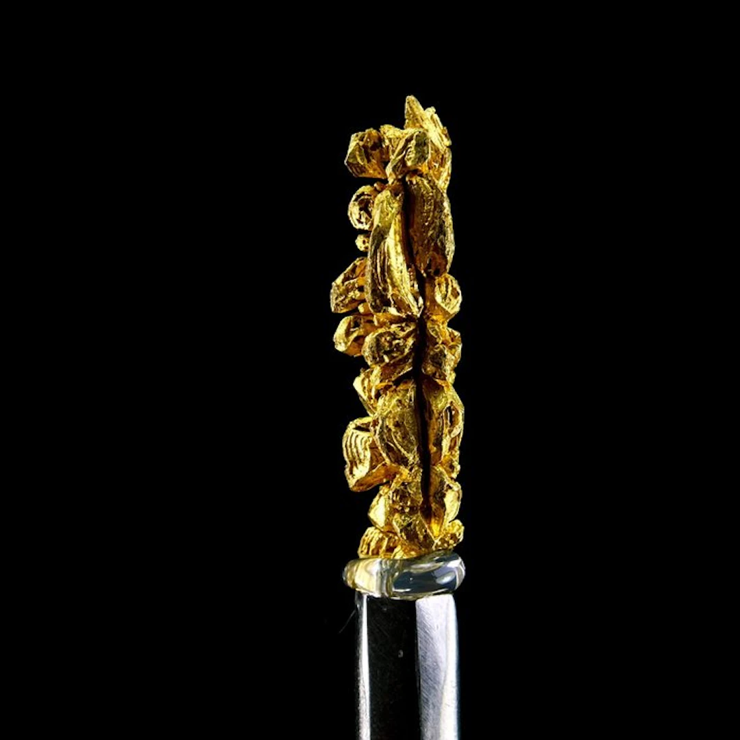 Native Gold - Aouint Yghomane