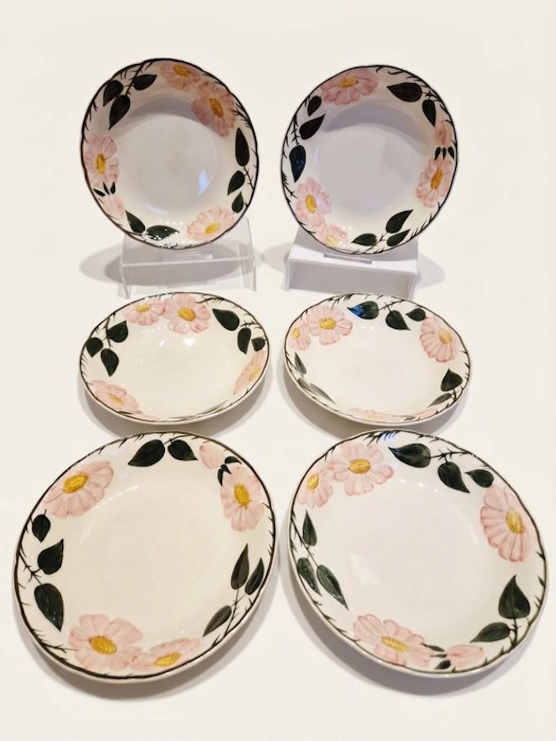 Villeroy & Boch - Dinner plate (6) - Wild-Rose