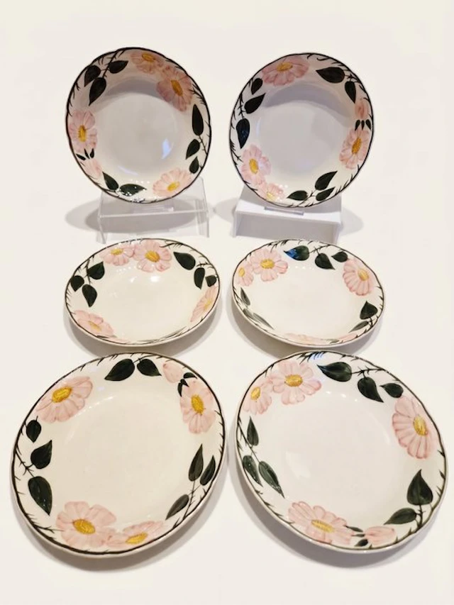 Villeroy & Boch - Plate (6) - Wild-Rose, Wildrose - Porcelain - soup plate