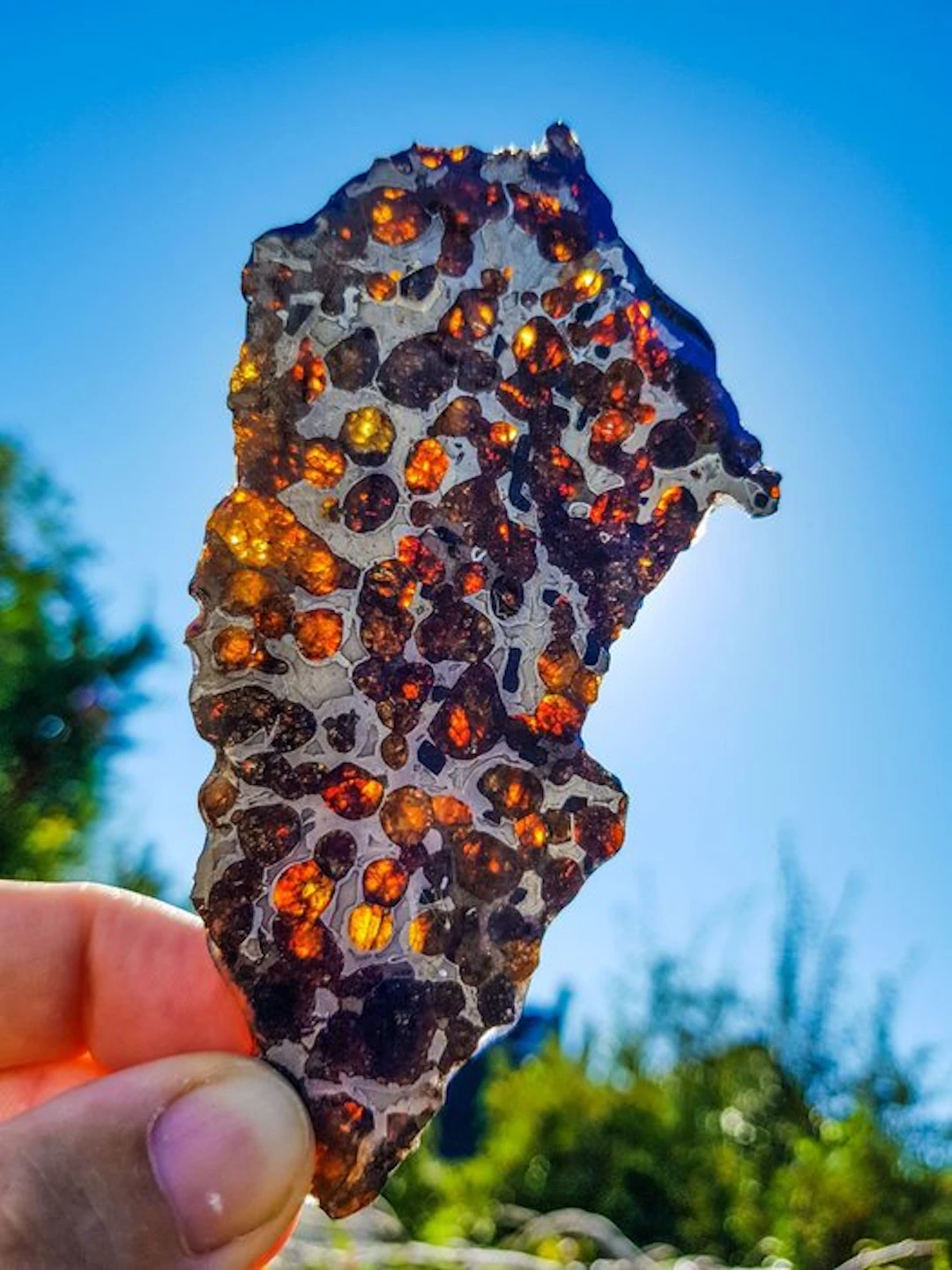 Pallasite HQ Sericho pallasite - Height: 12.4 cm - Width: 6.1 cm - 53.6 g