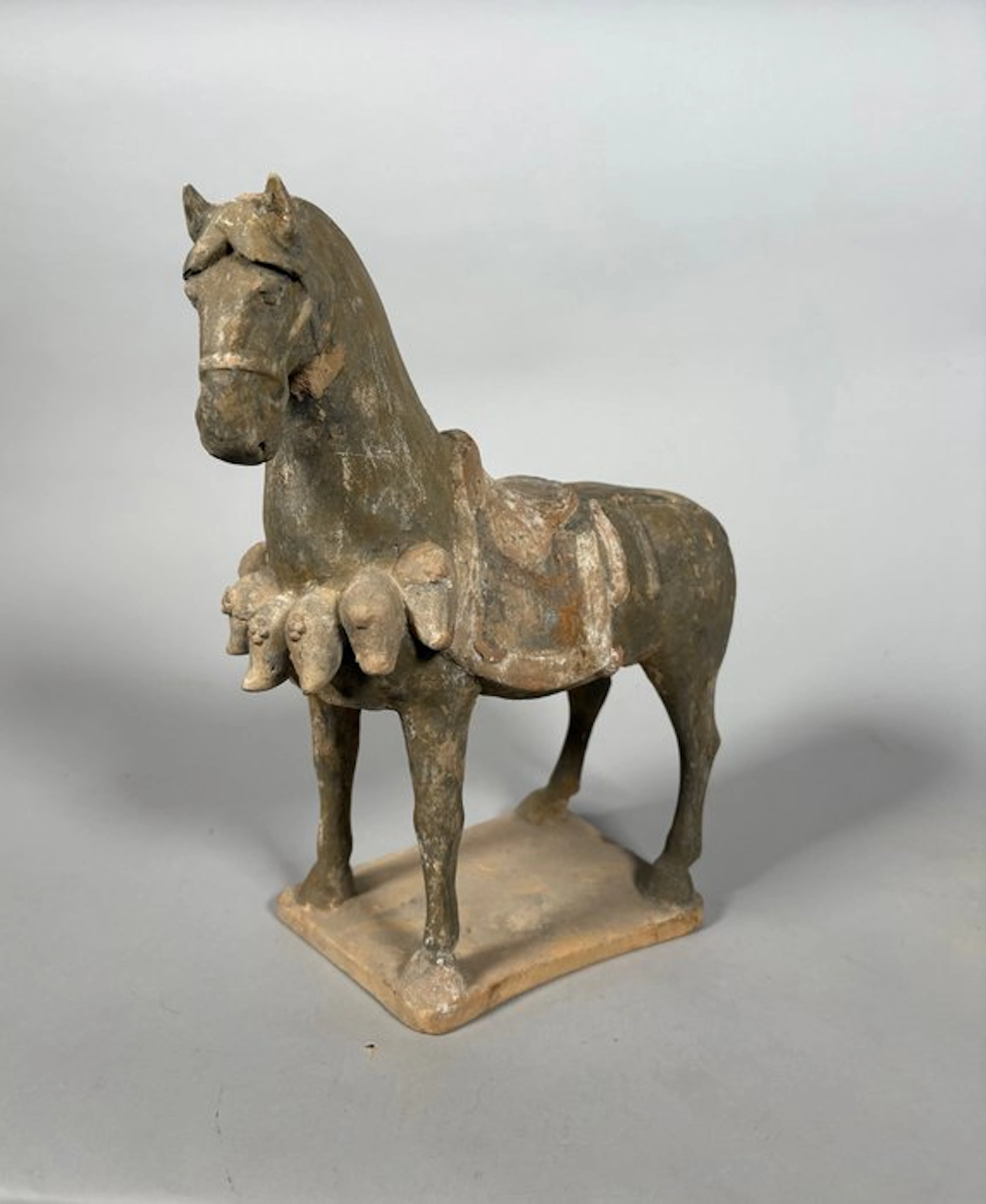 Ancient Chinese, Tang Dynasty Terracotta Mingqi horse - 32 cm