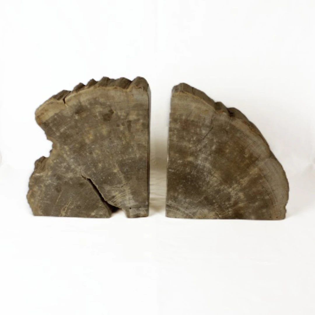 Petrified wood bookends - Fossilised wood - 35 cm - 20 cm (No reserve price)