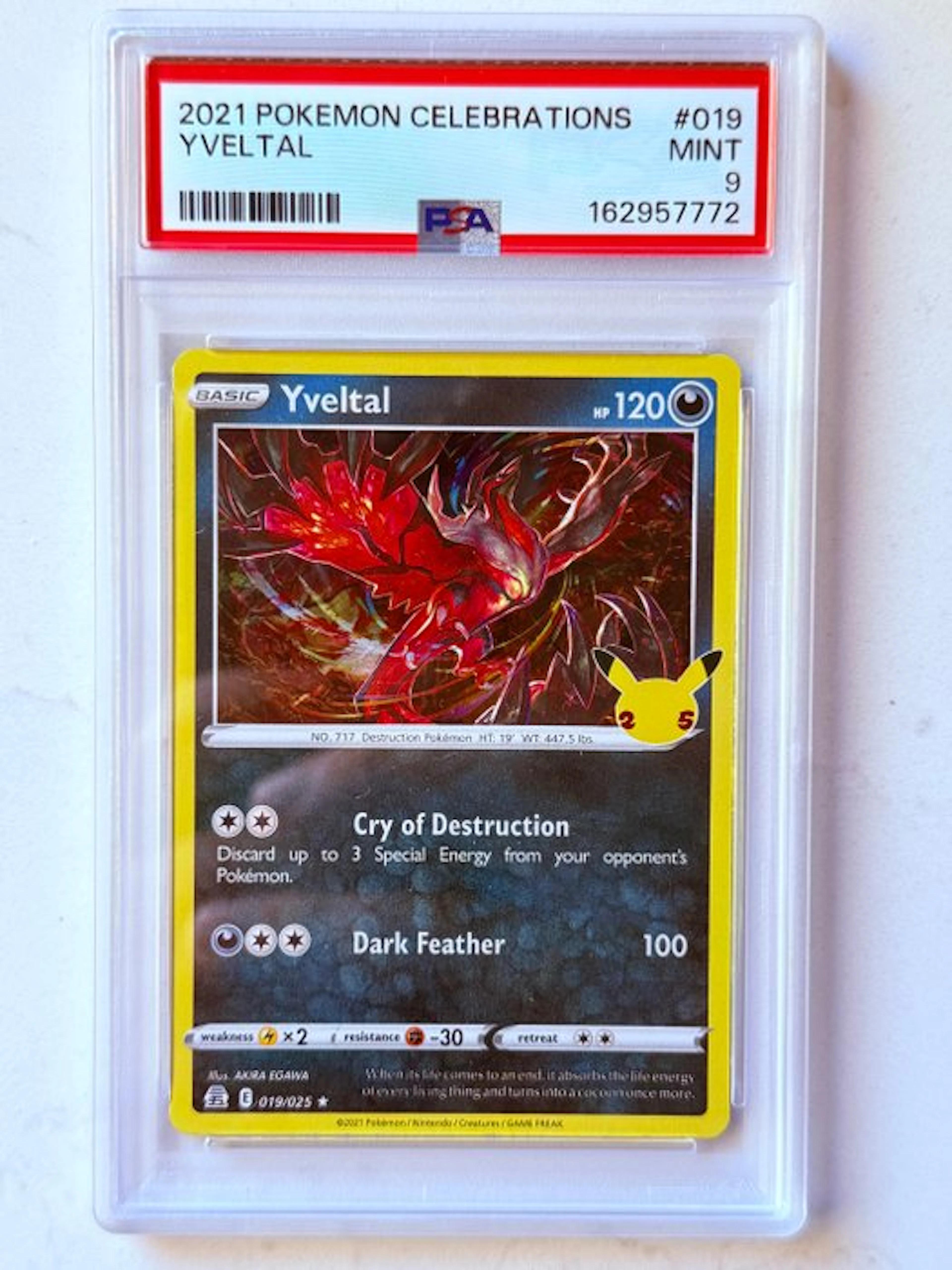 Pokémon - 1 Graded card - Yveltal 019/025 Foil