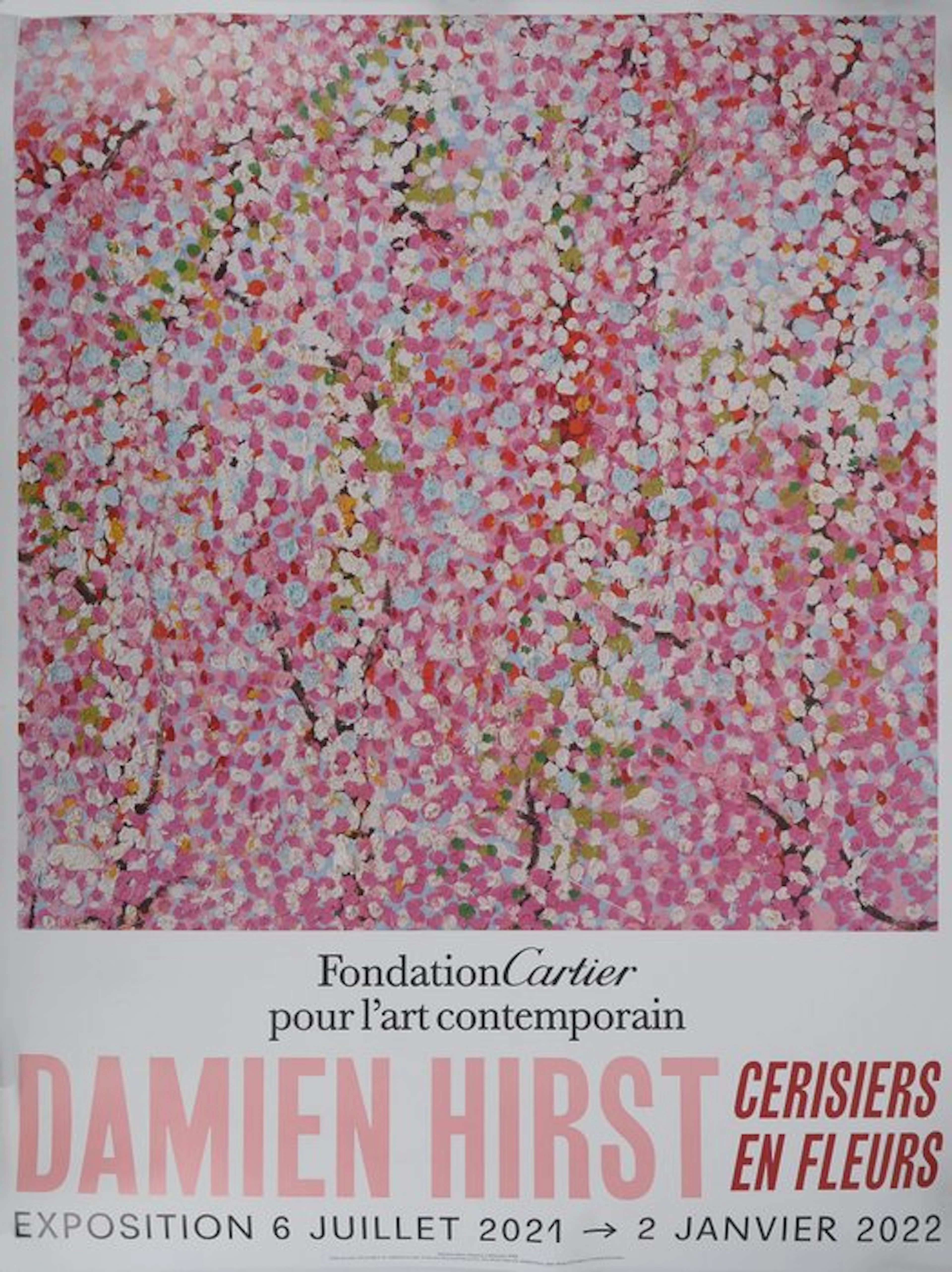 Damien Hirst (1965) - Sakura, Cerisiers en fleurs - Cherry Blossoms rose