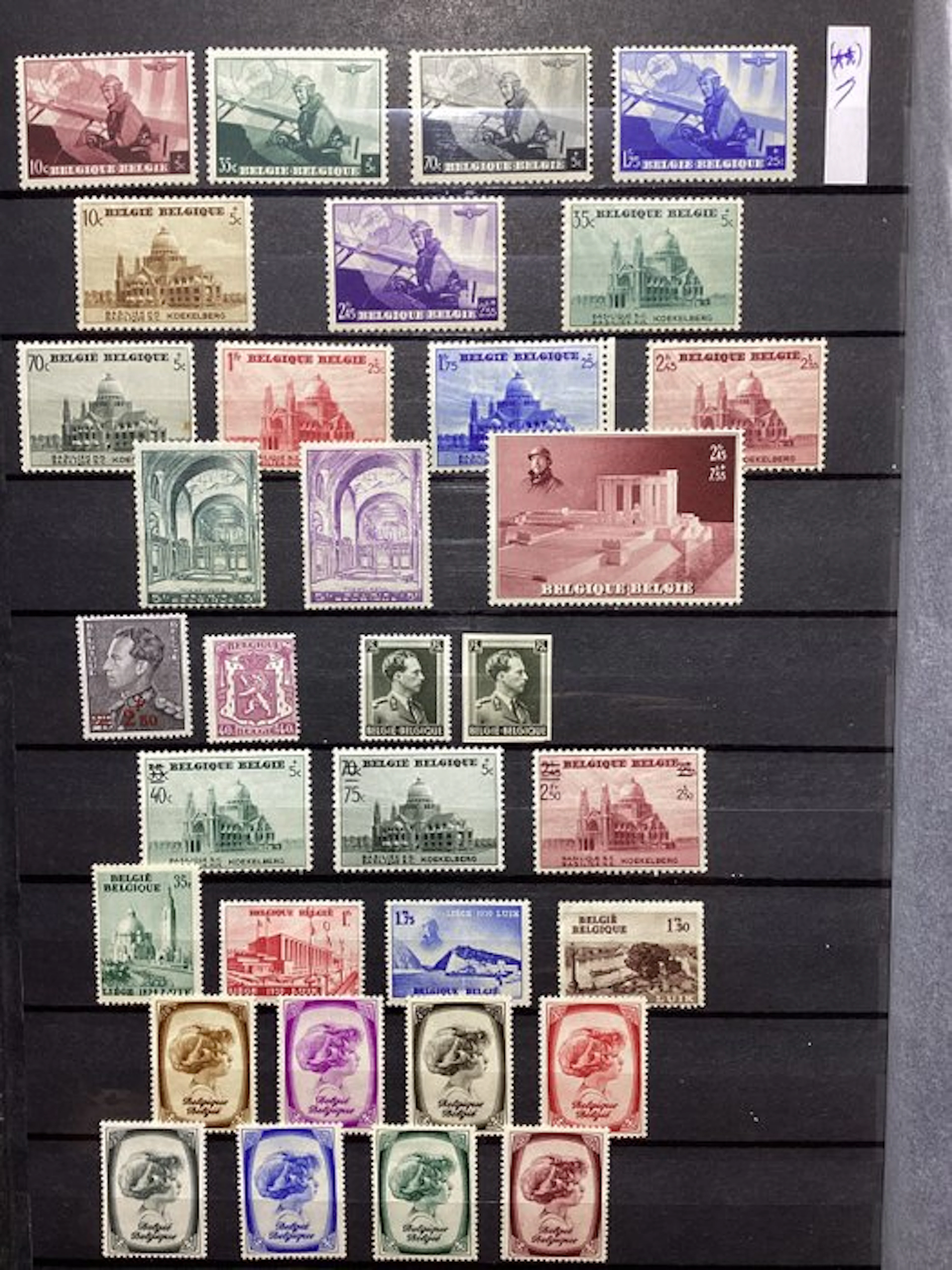 Belgium 1938/1938 - Complete year 1938 MNH