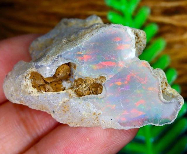 51.1 cts - "Big" Beautiful Natural Opal Rough "Dry" See Video!- 10.2 g