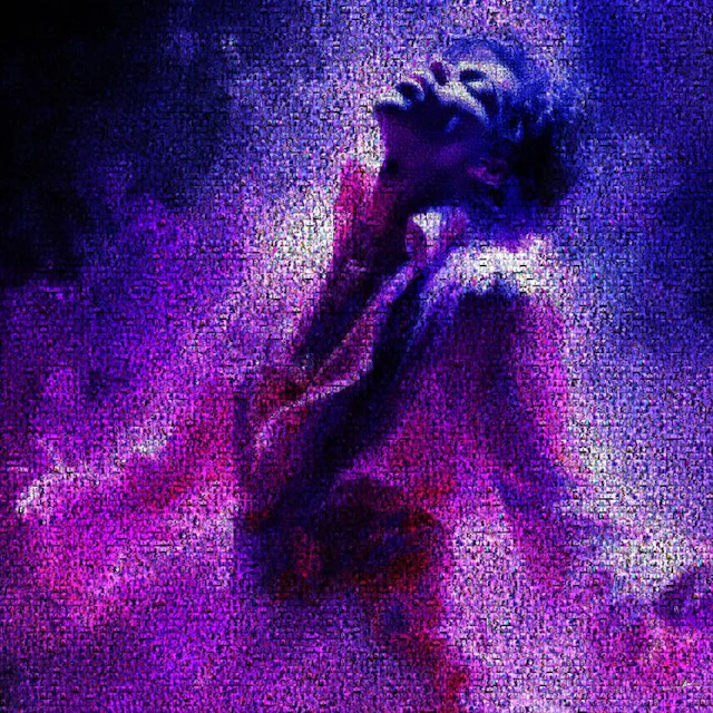David Law - Purple King- Prince - Format XL 60x60