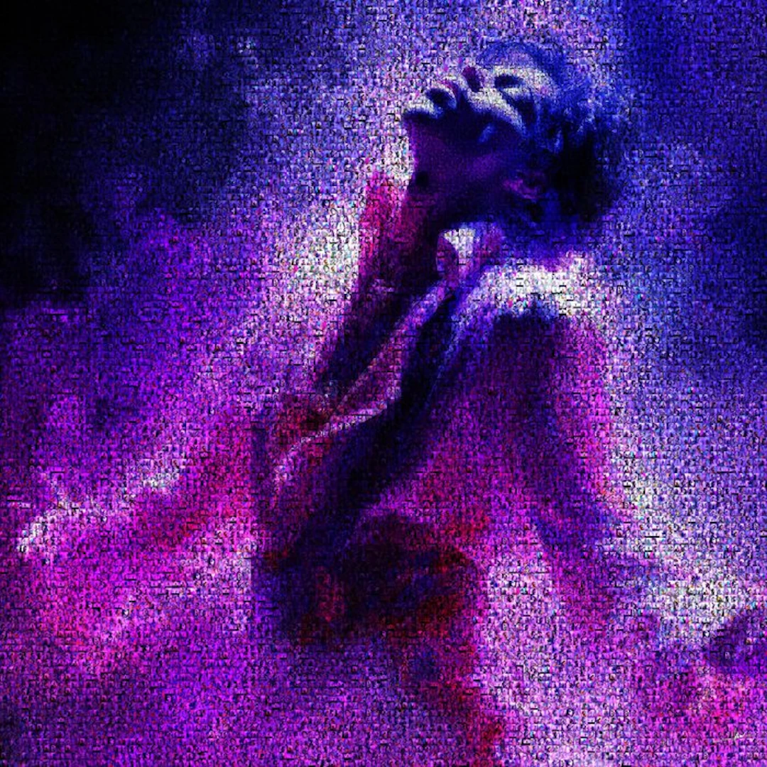 David Law - Purple King- Prince - Format XL 60x60