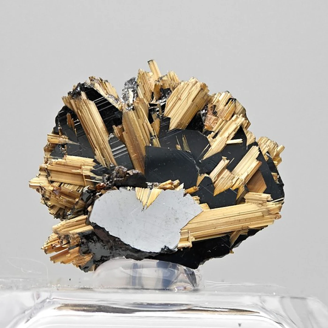 Golden rutile with glossy black hematite