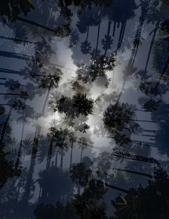 Ben Dauchez - An after noon at Majorelle #8