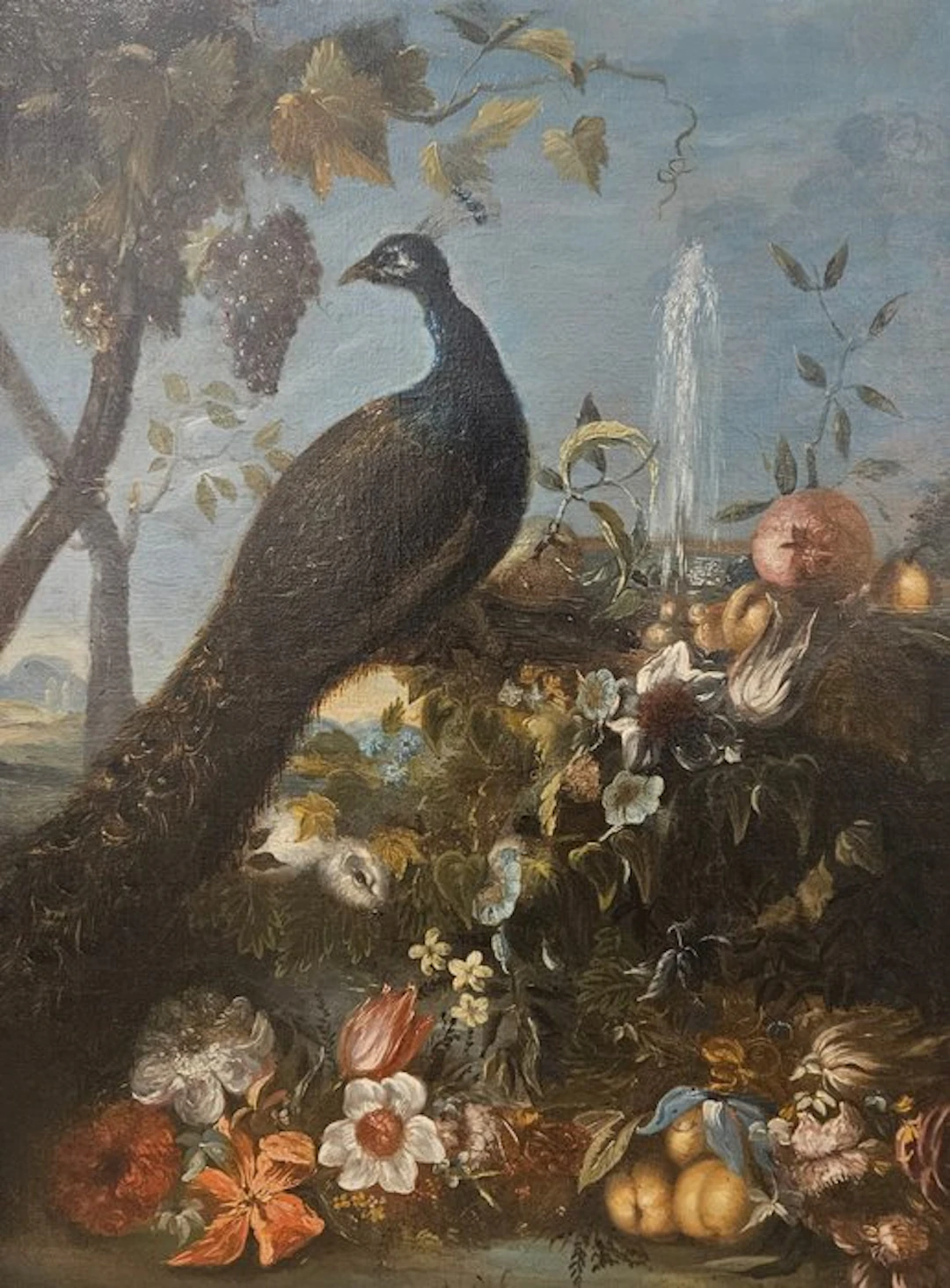 Escuela Italiana (XVII-XVIII) - Vanitas con pavo real