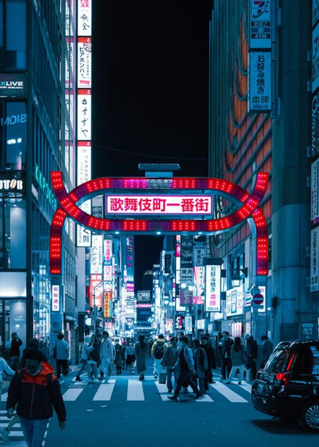 Dominik Valvo - Kabukicho Fever (Japan 2023) XL