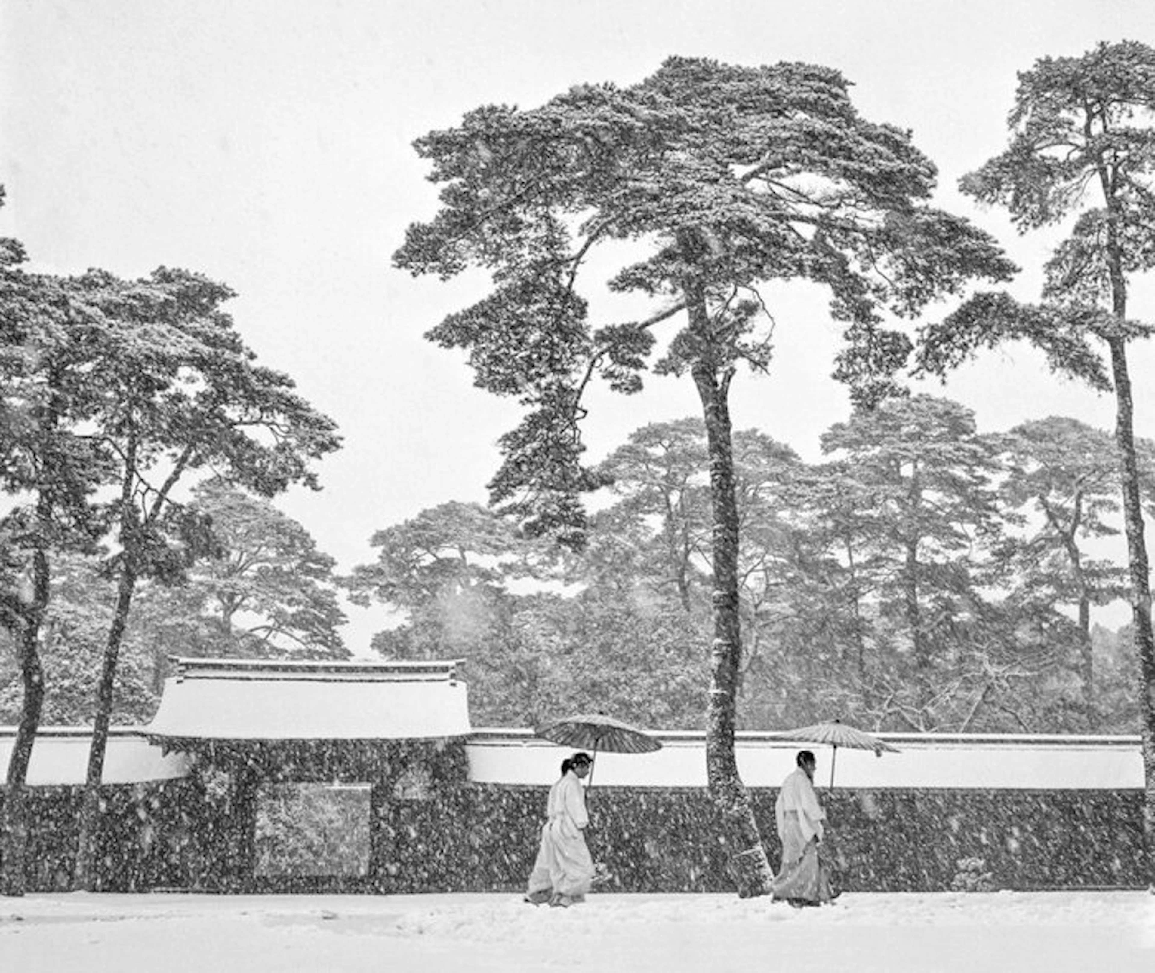 Werner Bischof (1916-1954) - Courtyard of the Meiji Shrine in Tokyo