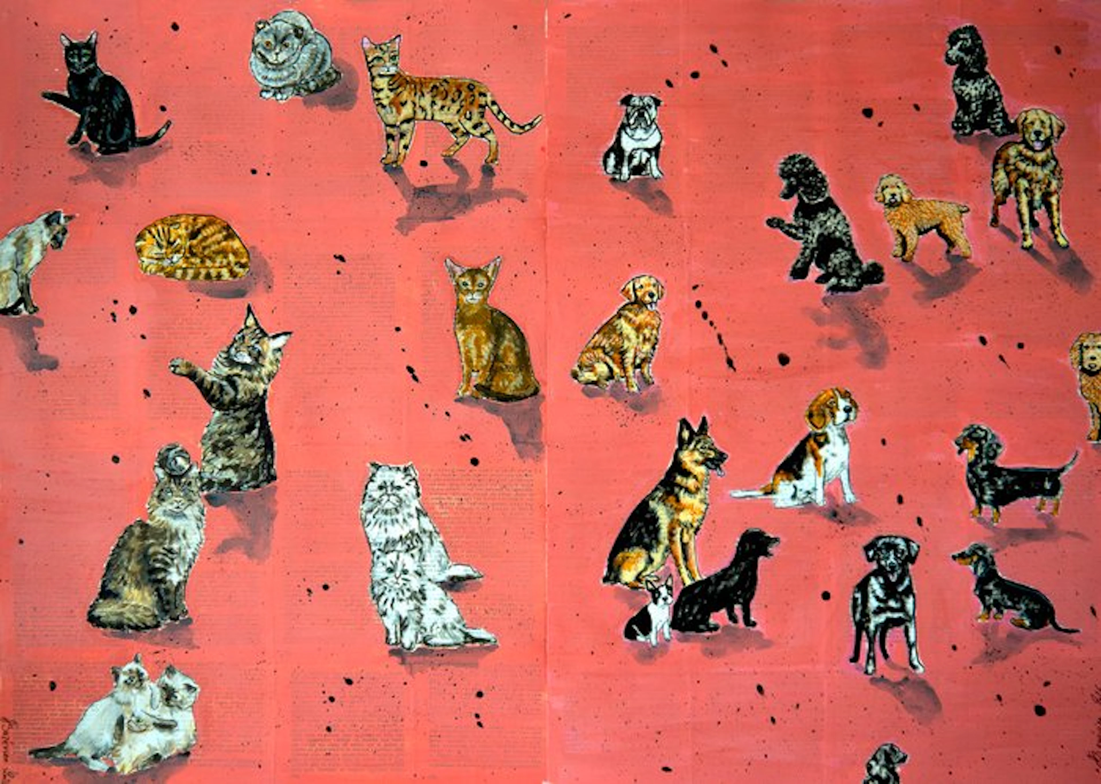 Bazévian DelaCapucinière - Diptyque Portraits Cats Vs...