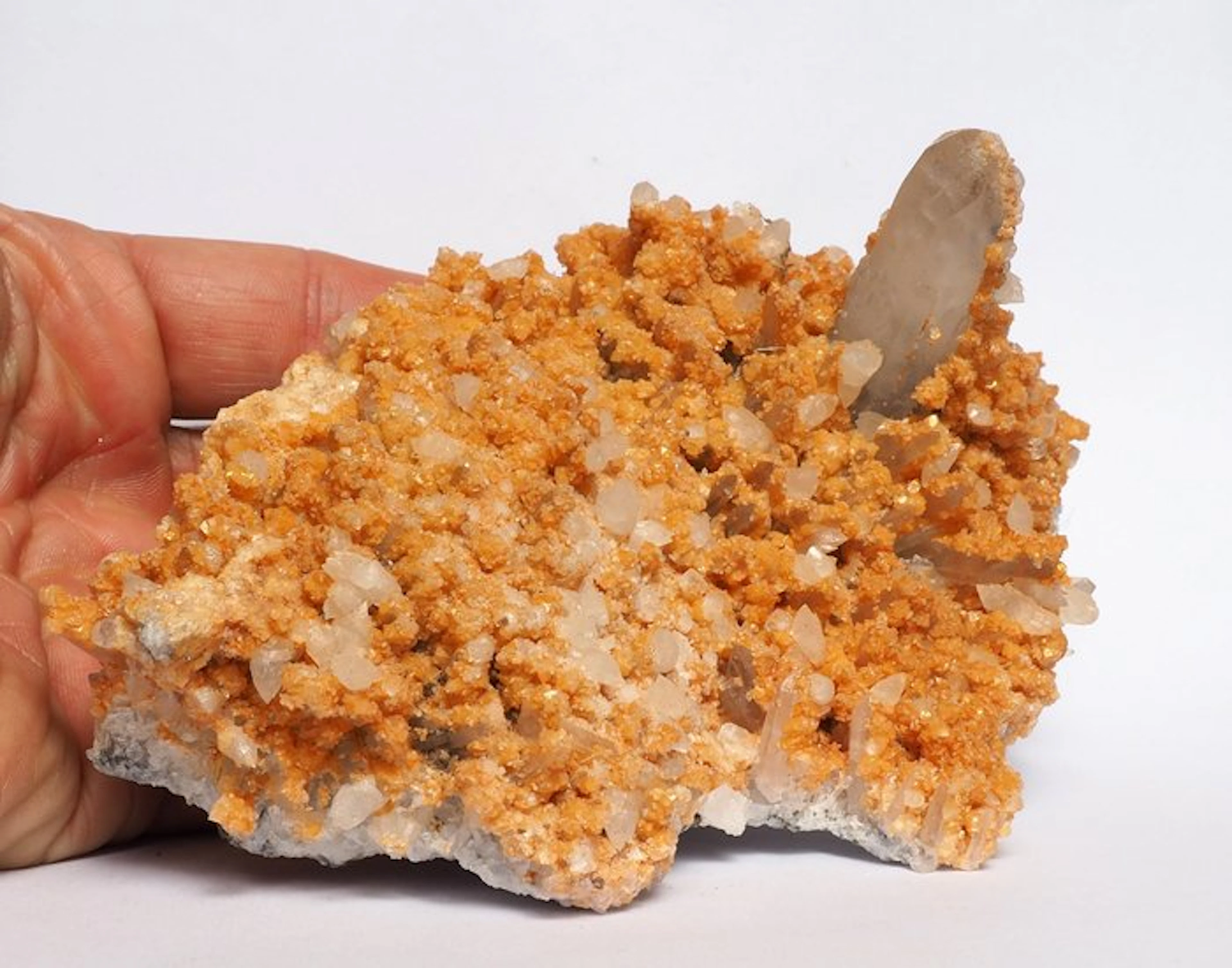 Quartz Crystals on matrix - Height: 16 cm - Width: 11 cm- 1 kg
