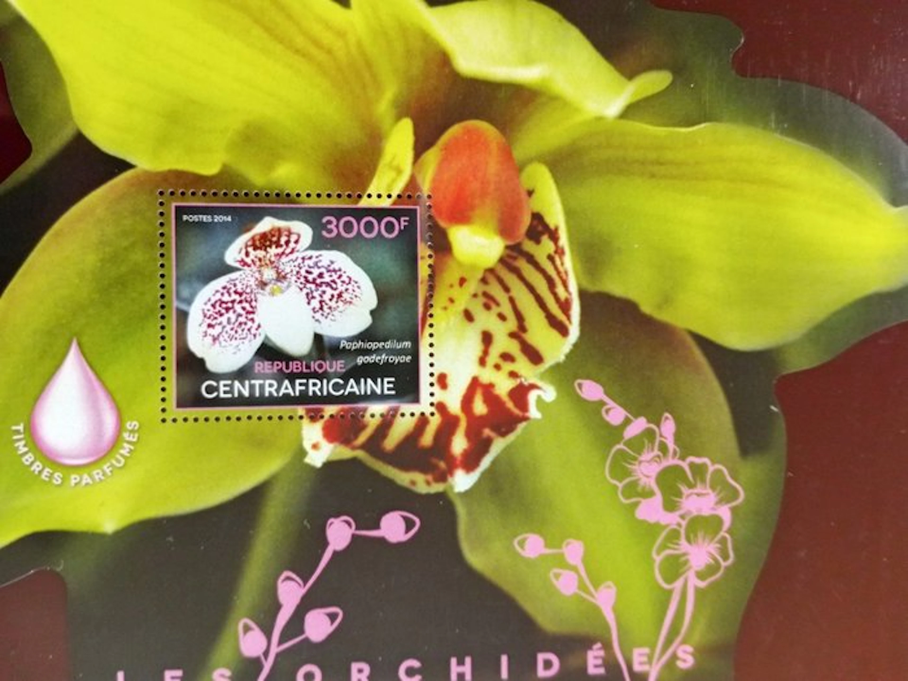 World 1990/2015 - Huge collection of orchid sets/blocks...