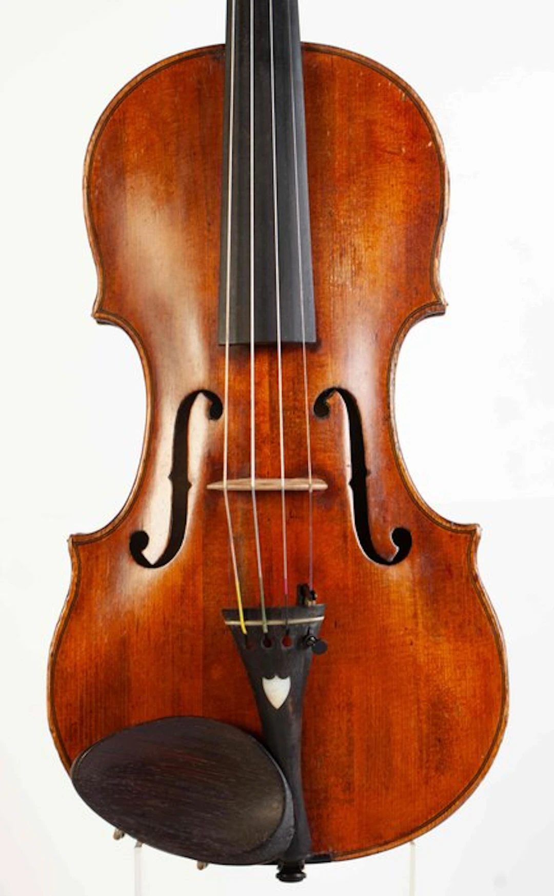 Labelled Berbardus Calcanius - - Violin - Unknown