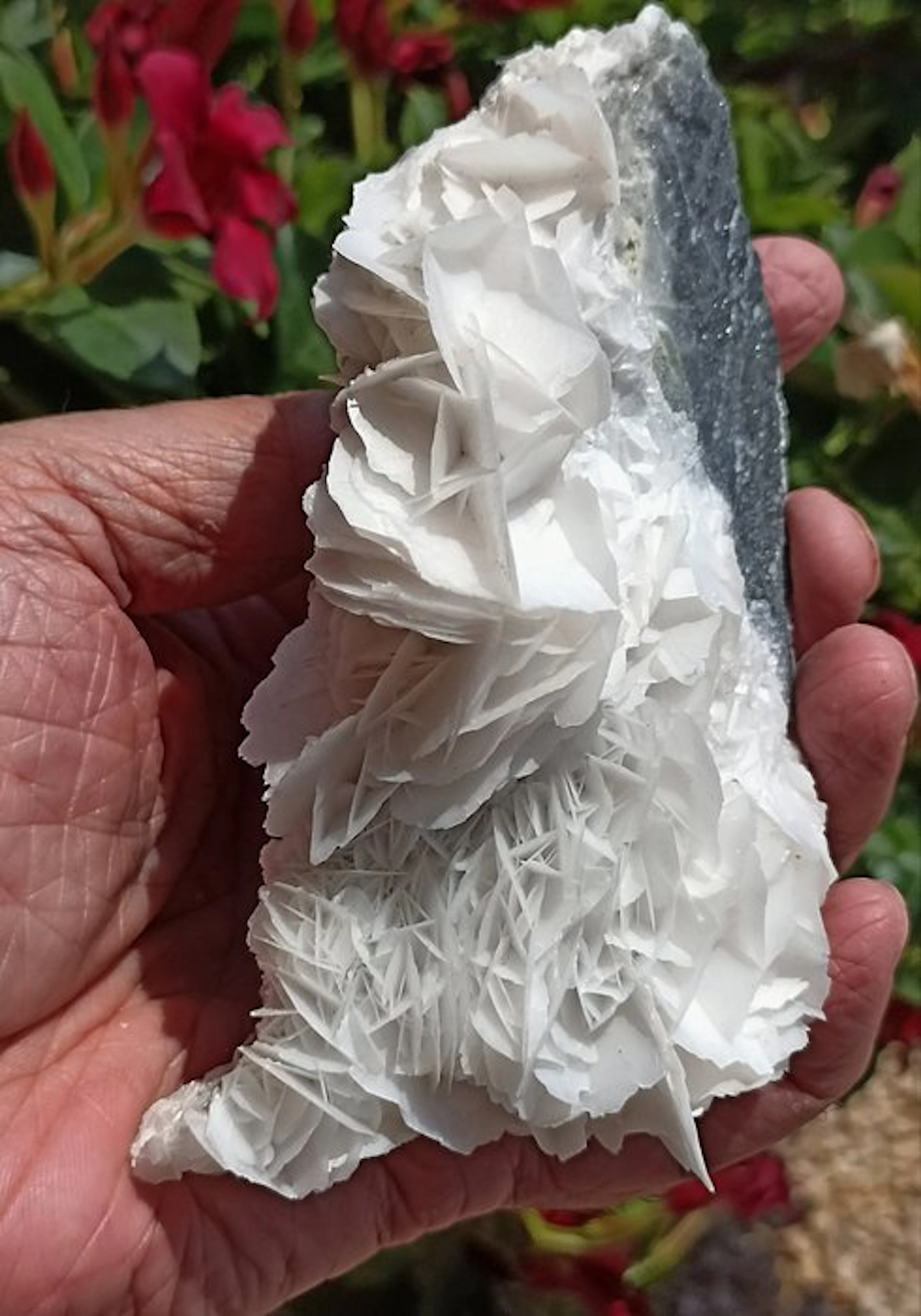 Petal-shaped white calcite