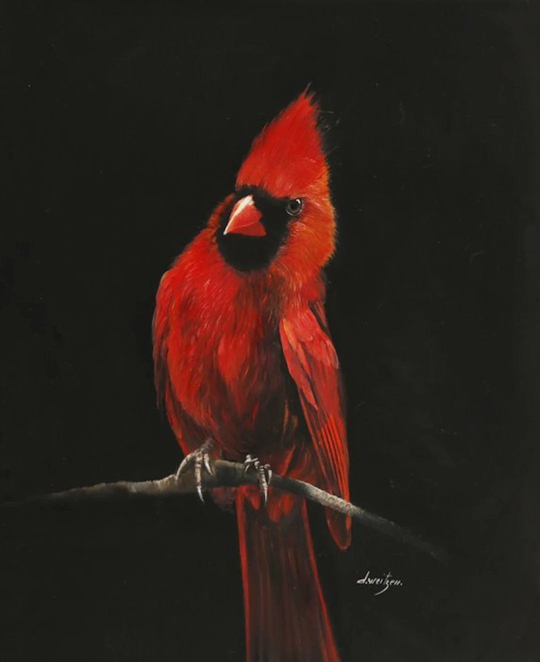 Danka Weitzen - il cardinale