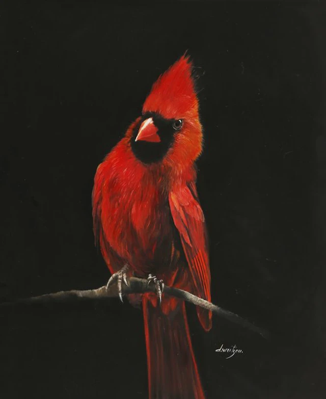 Danka Weitzen - il cardinale