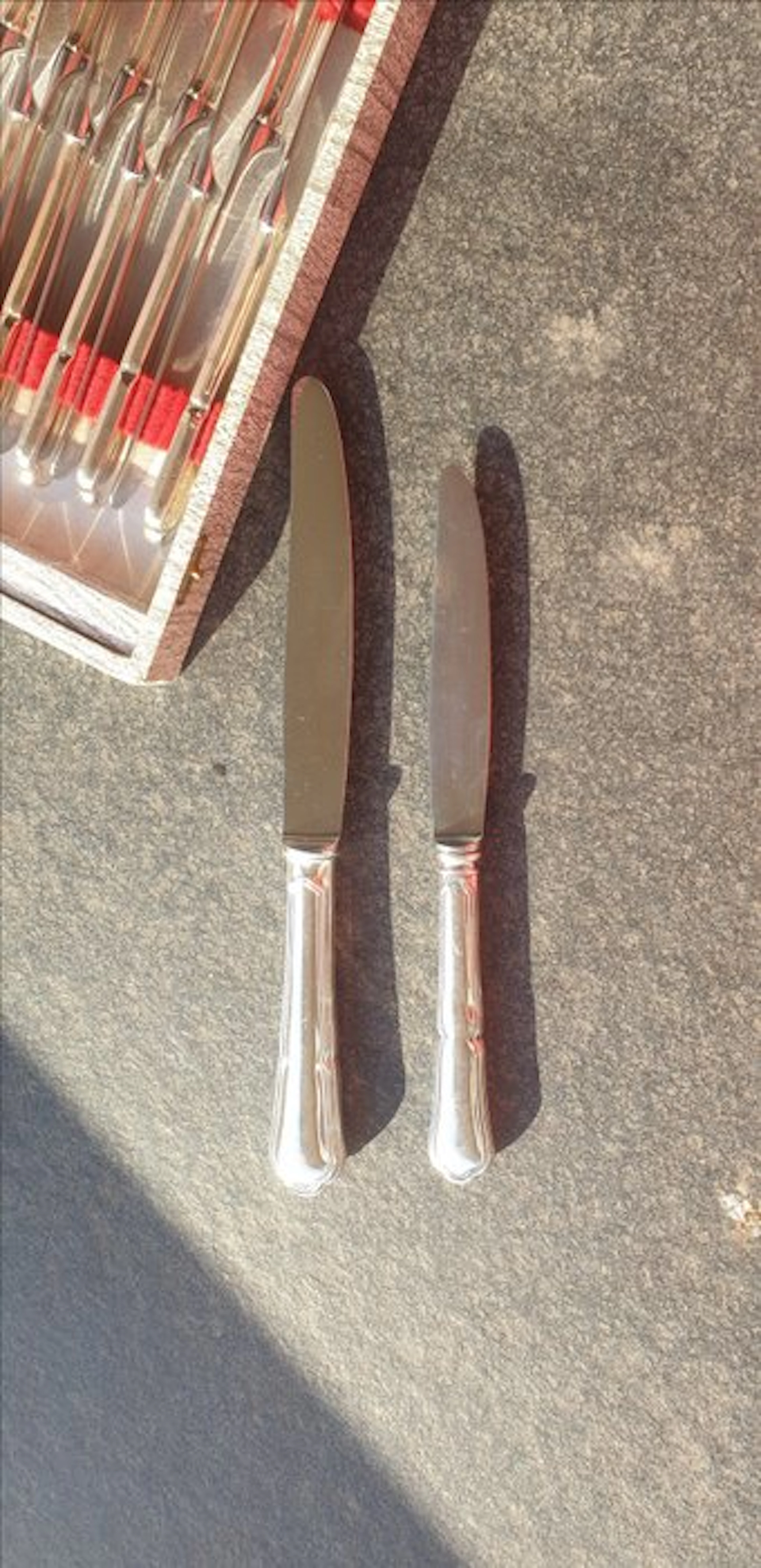 Fruit knife (24) - Steel, Silverplated