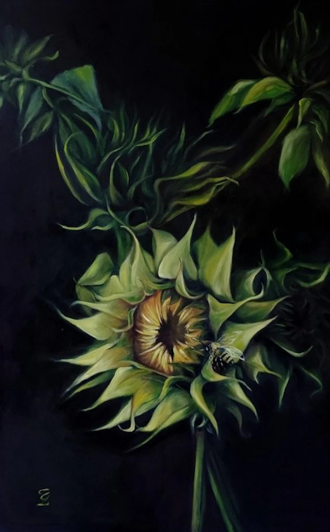 Veronica Ciccarese - Cacciatore di luce