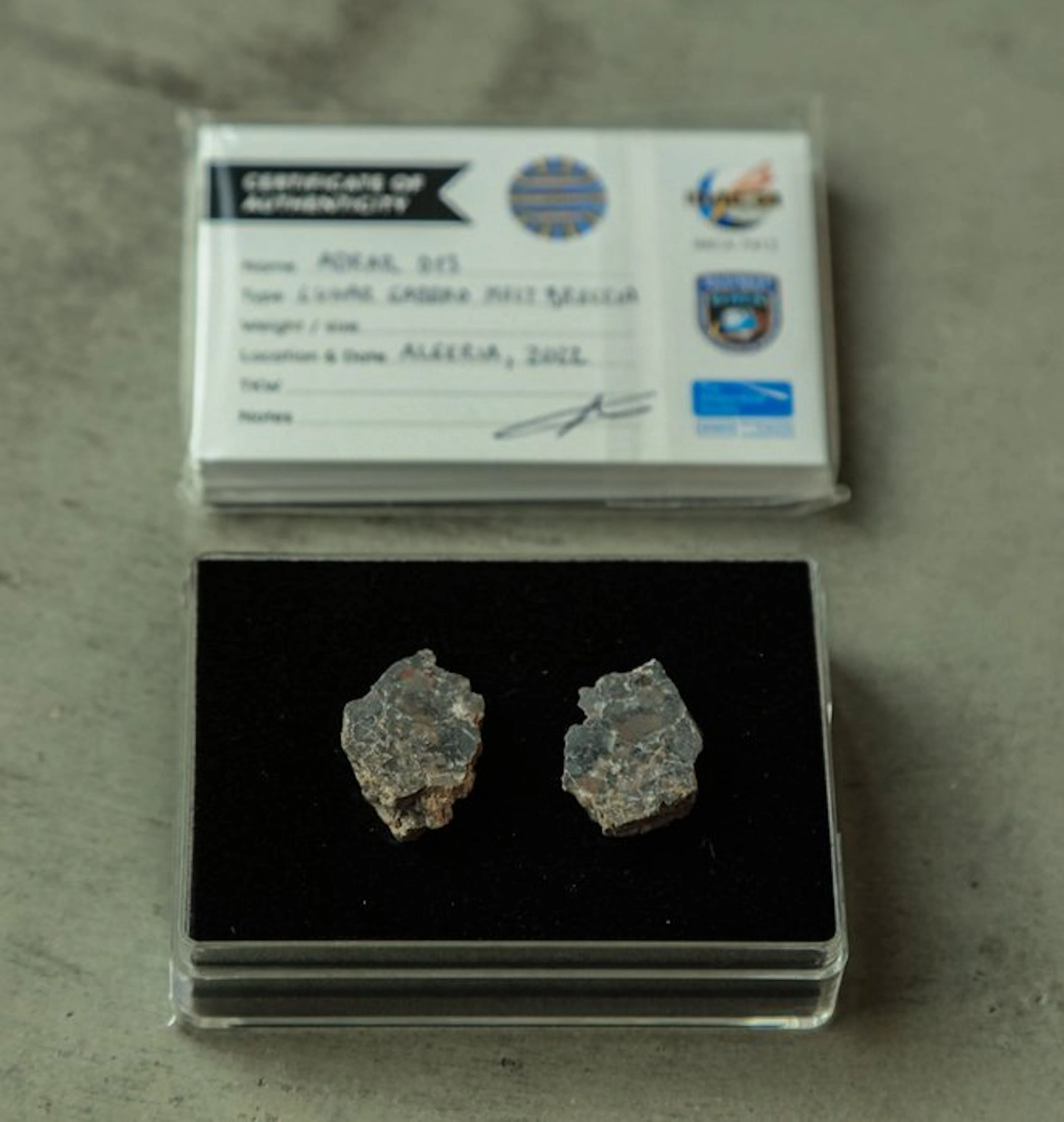 Lunar meteorite Double XL Adrar 013 Lunar Feldspathic...
