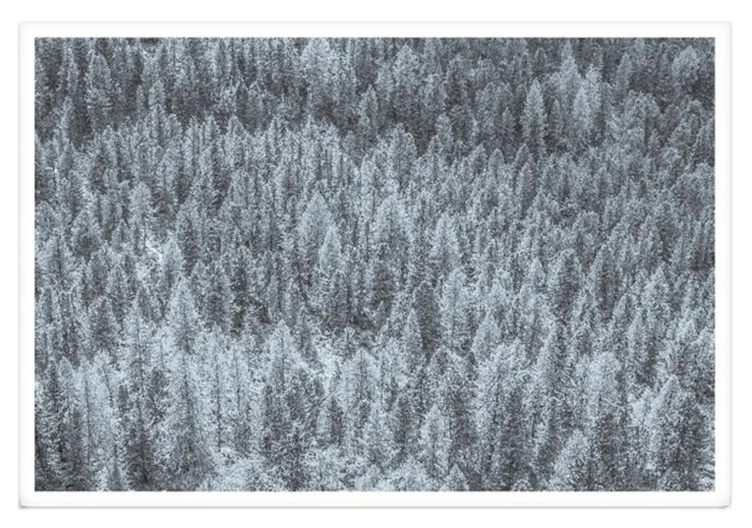 Fabio Accorrà - The white silence XXL