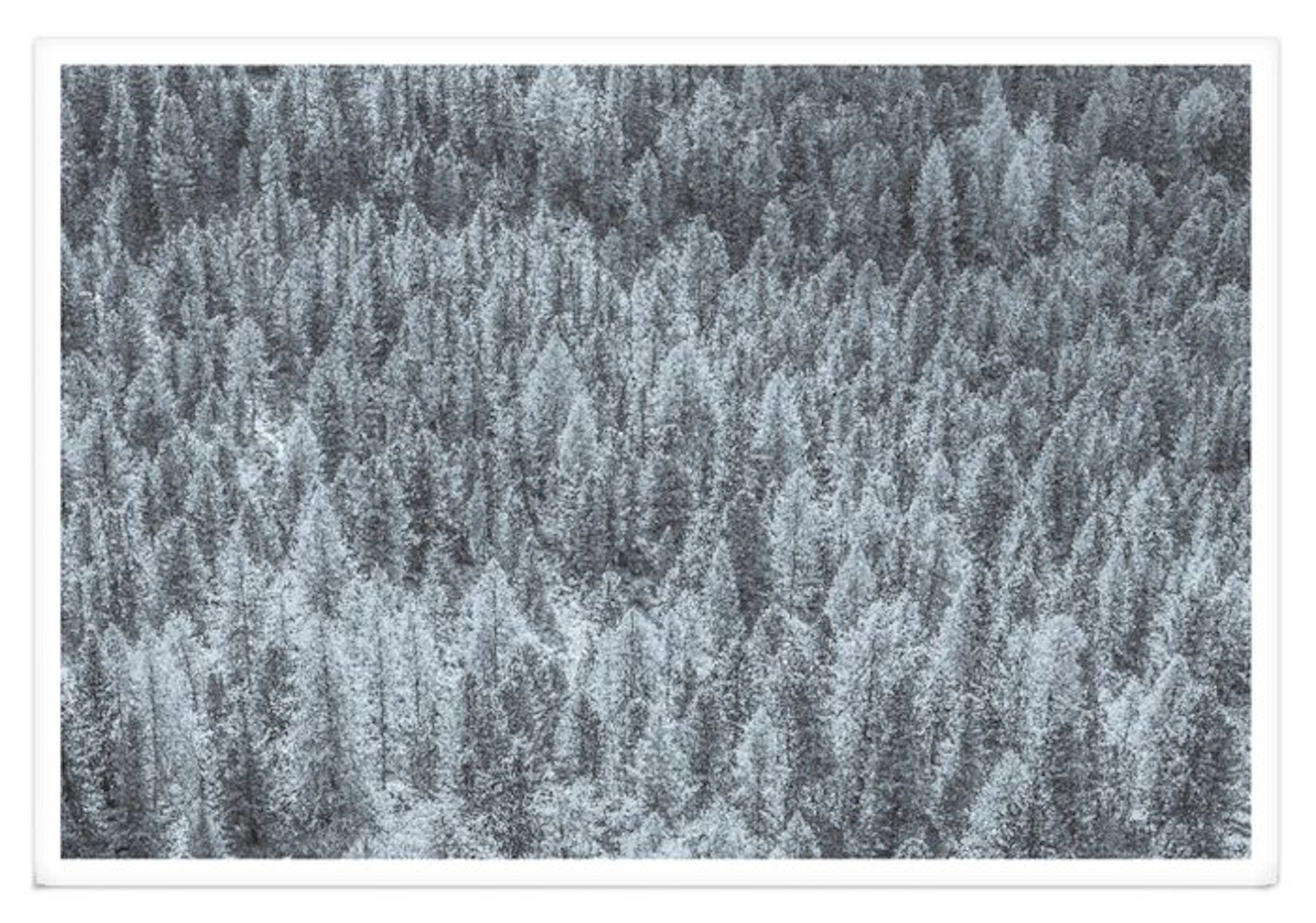Fabio Accorrà - The white silence XXL