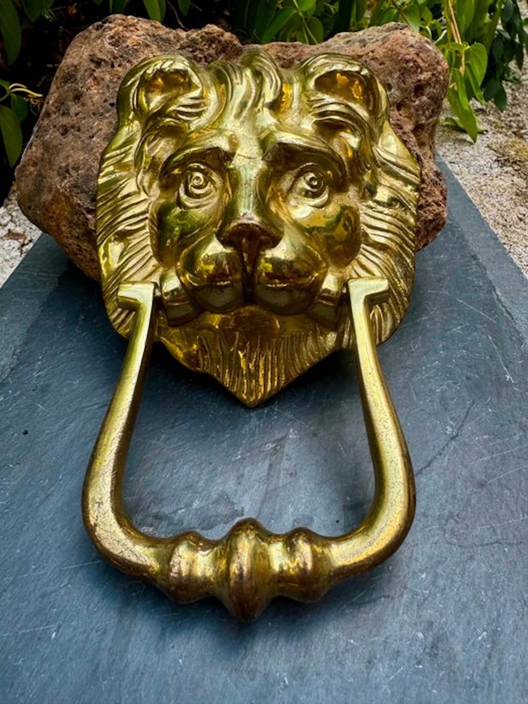 Door knocker - 1950-1960 - lion baroque