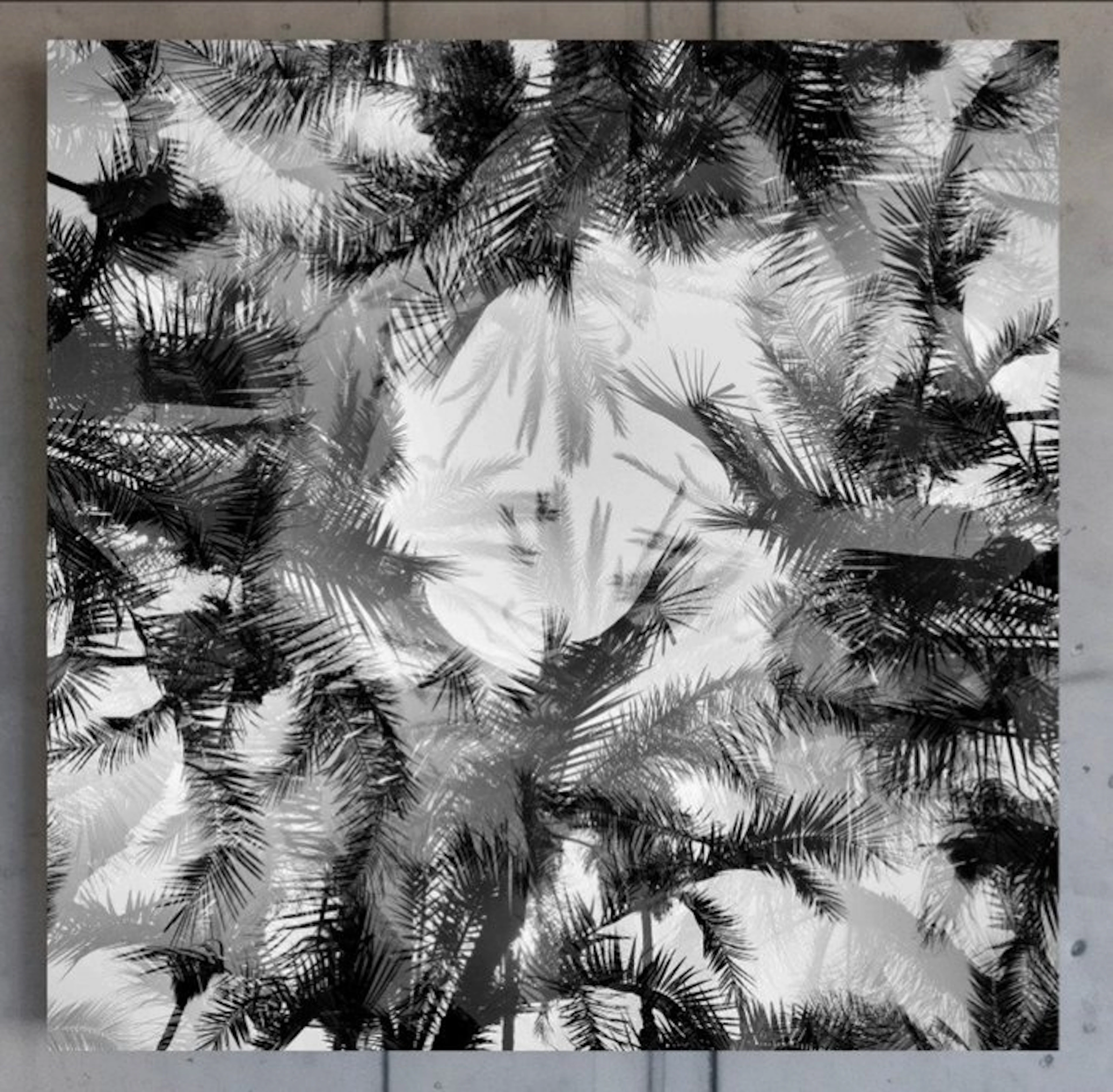 Ben Dauchez - An after noon at Majorelle #1