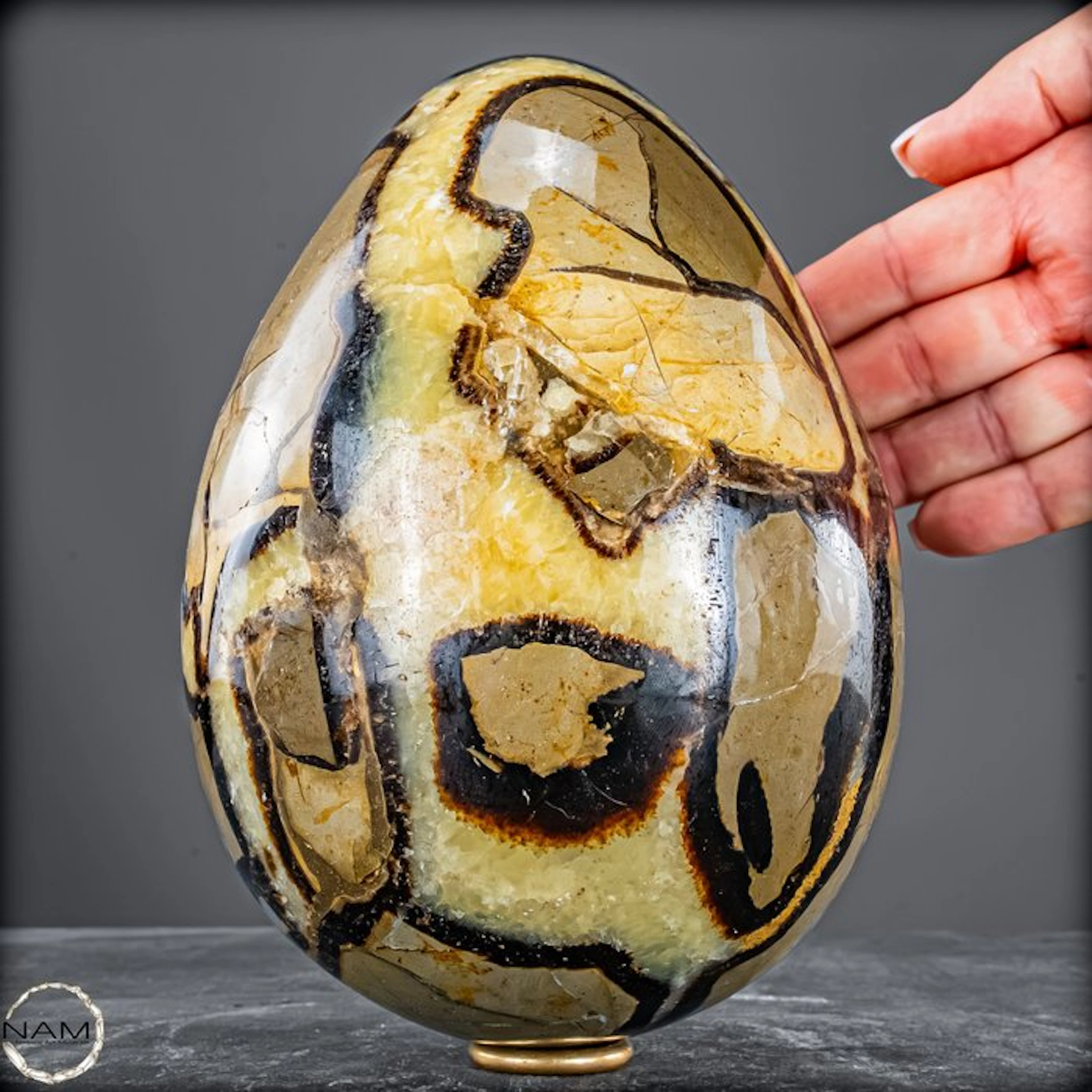 Fascinating septarian egg – The magic of primeval forms and colors- 3607.76 g