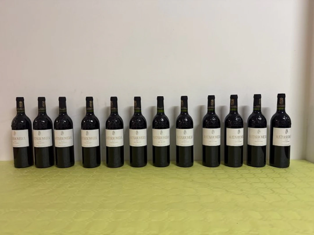 2020 Matarromera - Ribera del Duero Gran Reserva - 10 Bottles (0.75L)