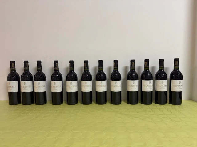 2020 Matarromera - Ribera del Duero Gran Reserva - 10 Bottles (0.75L)