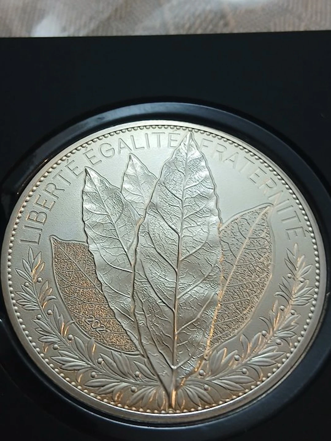 France. 100 Euro 2021 "Laurier" (No reserve price)