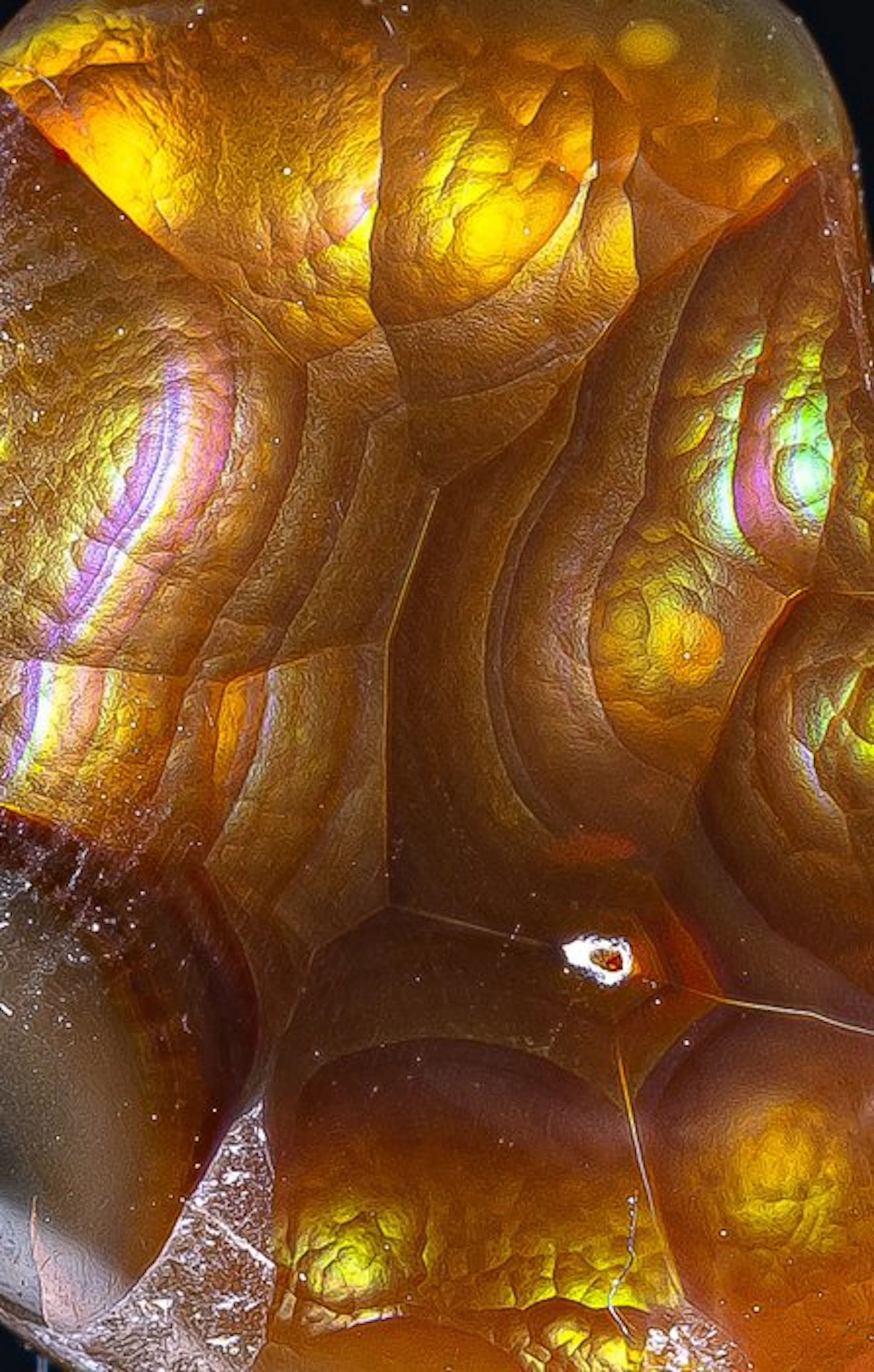 EXCEPTIONAL Fire Agate 6.90 carats - Mexico - Height...