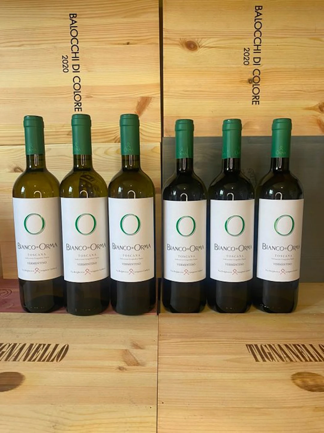 2025 Bianco d'Orma - Tuscany - 6 Bottles (0.75L)