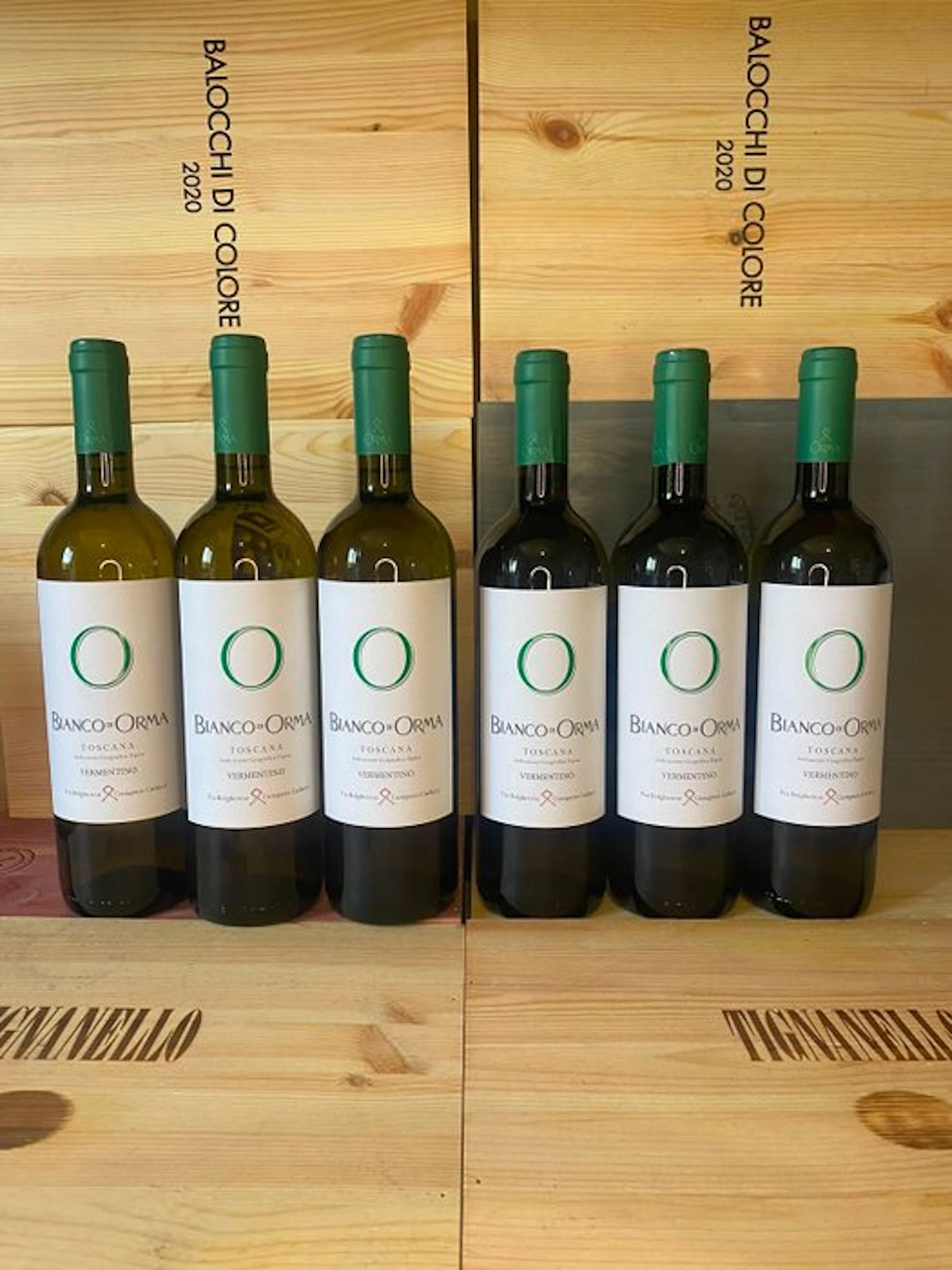 2025 Bianco d'Orma - Tuscany - 6 Bottles (0.75L)