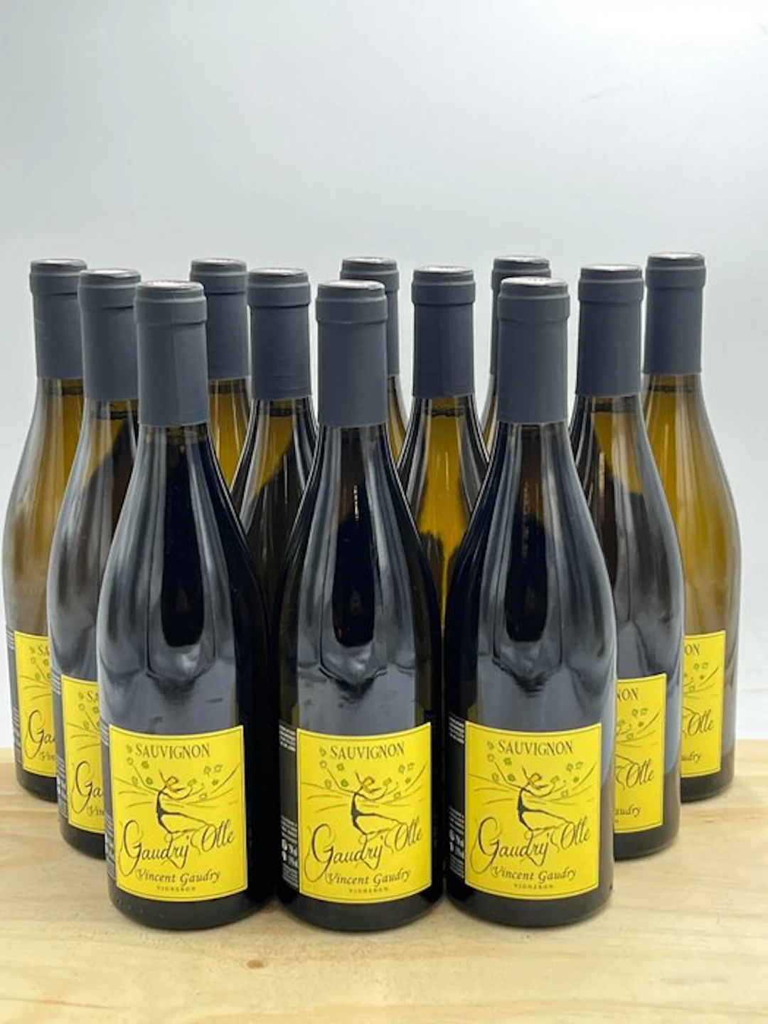 2023 Vincent Gaudry Sauvignon Gaudry'Olle - Loire - 12 Bottles (0.75L)
