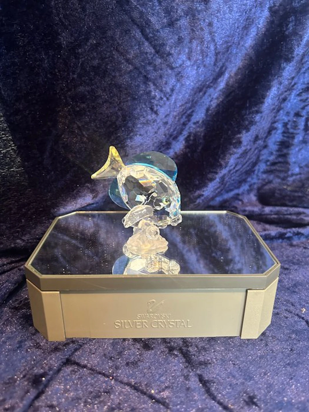 Swarovski - Figurine - 2007 Blue Tang Fish colour 886180...