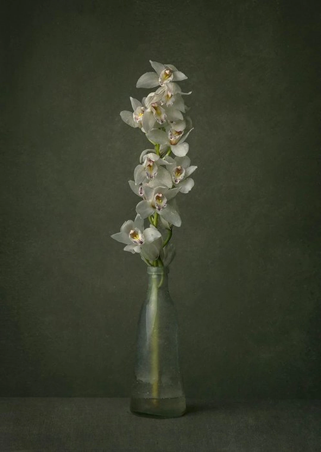Tessa Posthuma de Boer - Orchid #3