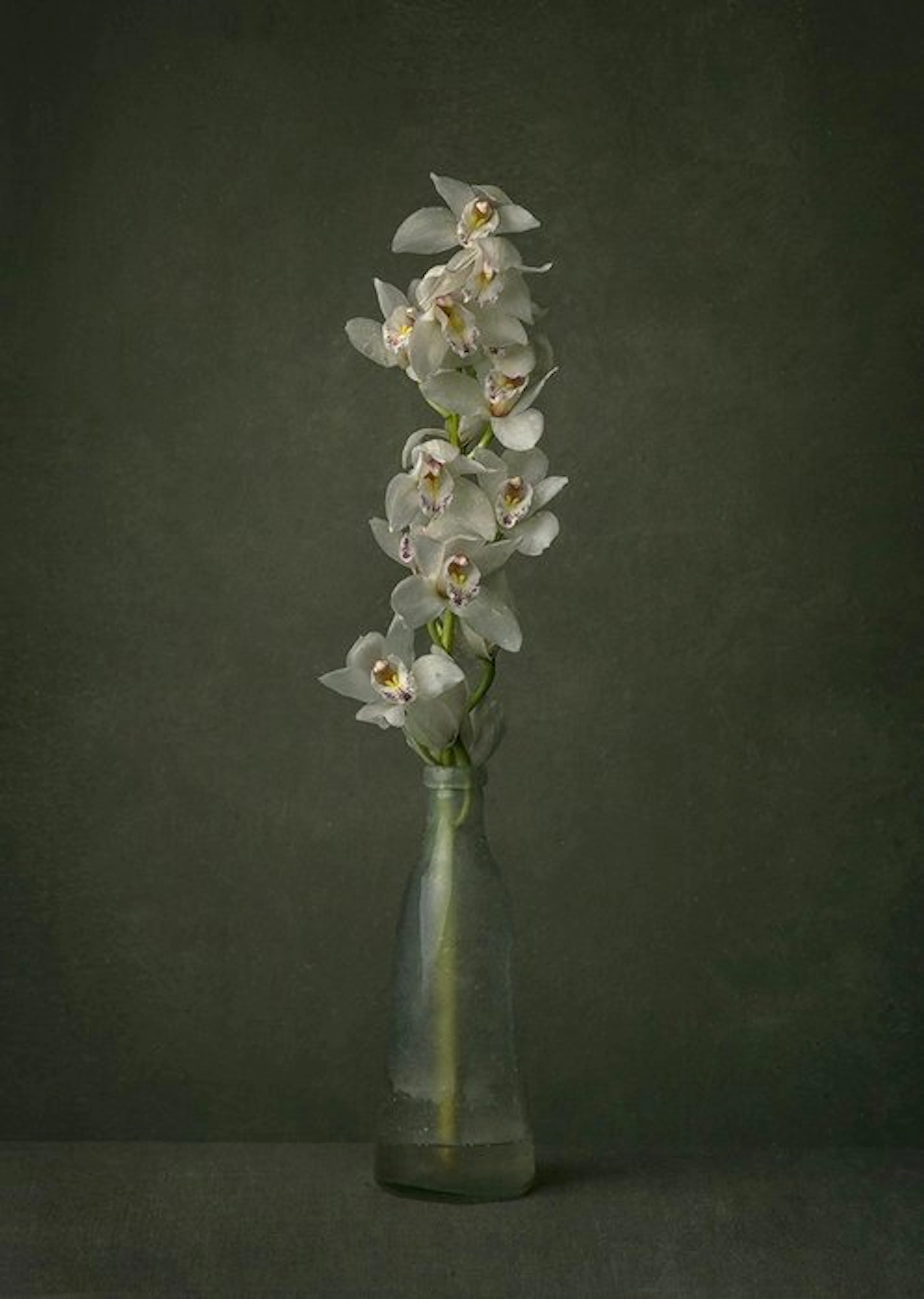 Tessa Posthuma de Boer - Orchid #3