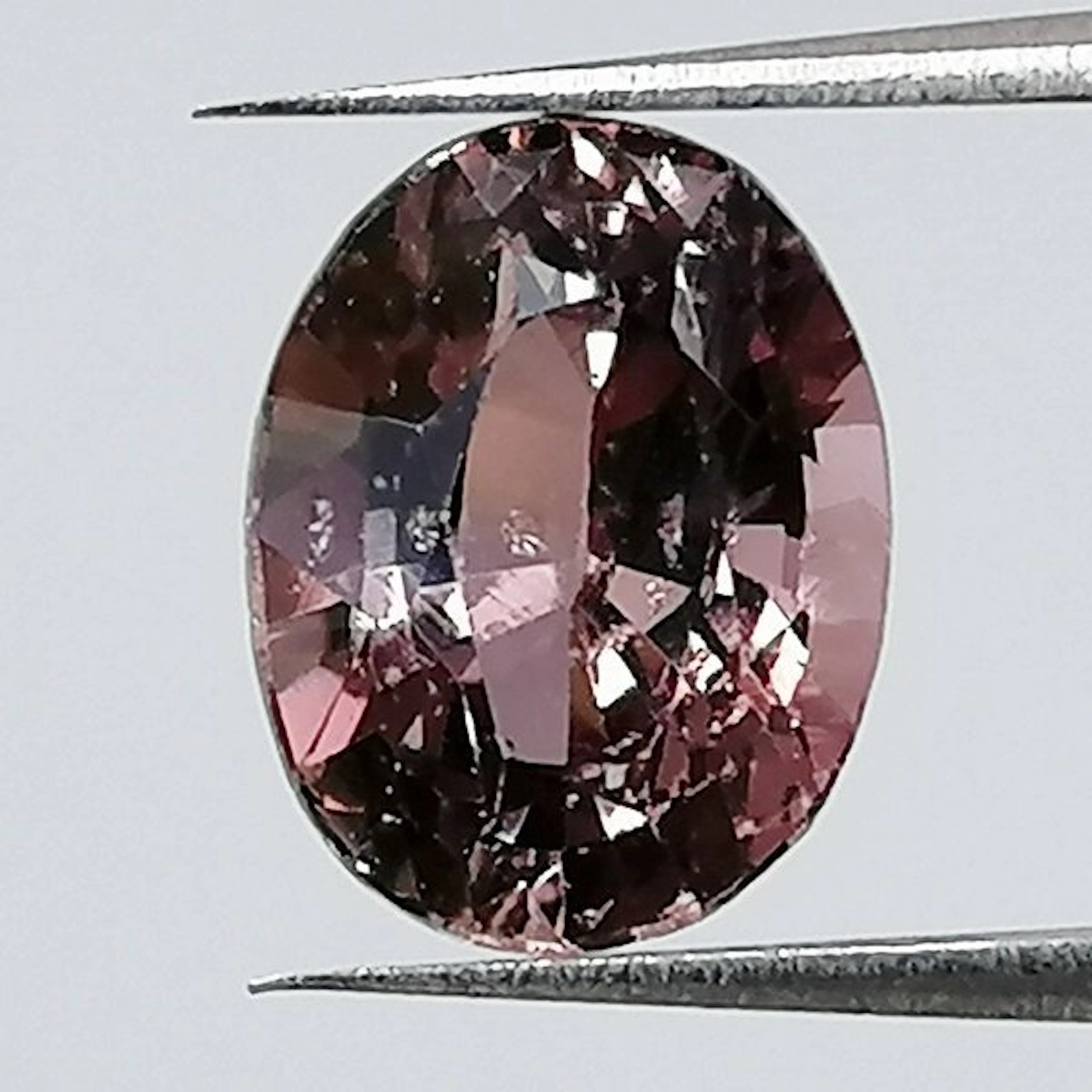 No reserve price - 1 pcs Sapphire - 1.48 ct - Instituto...