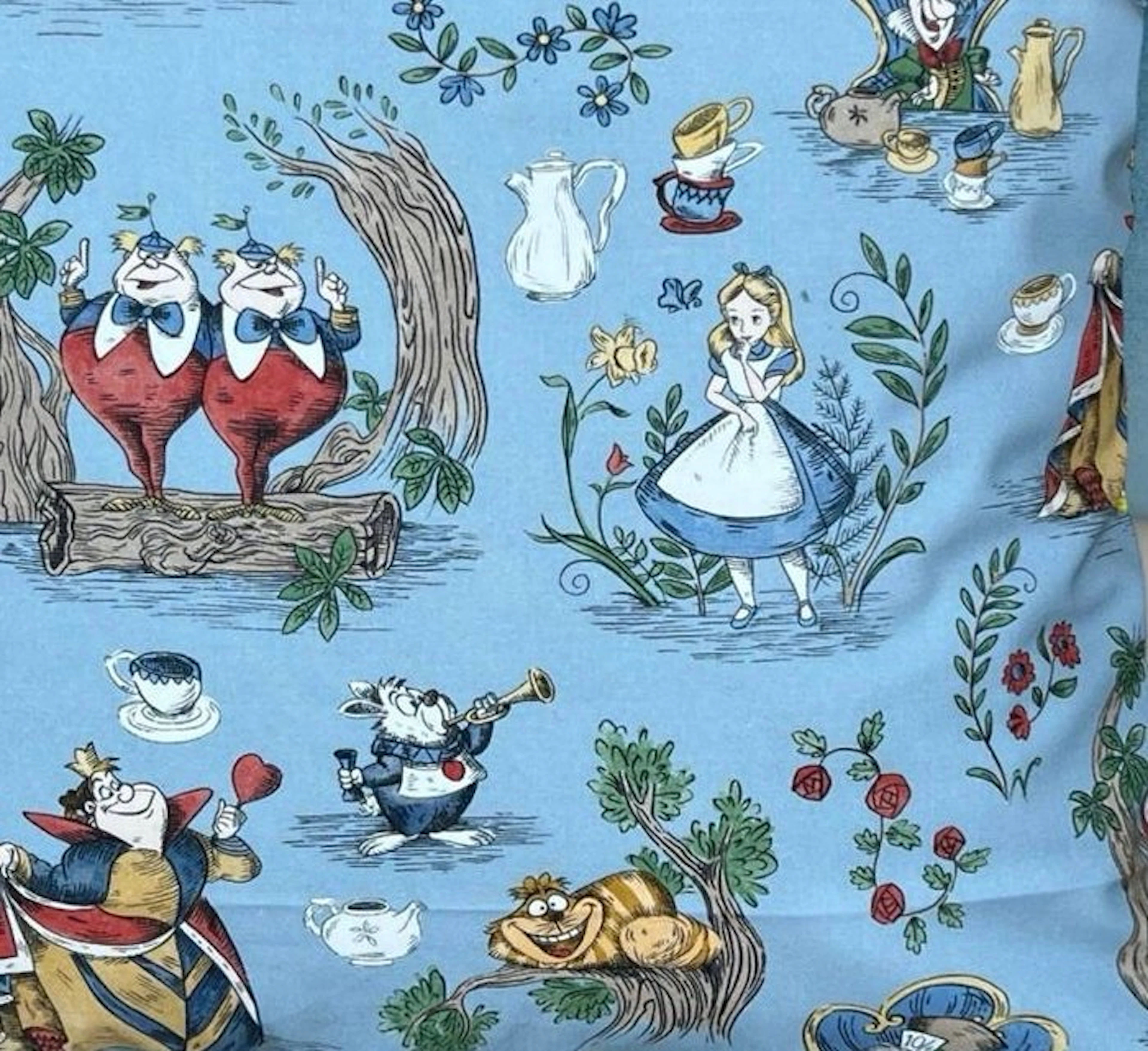 DISNEY HOME X SANDERSON -New set of two - Cushion
