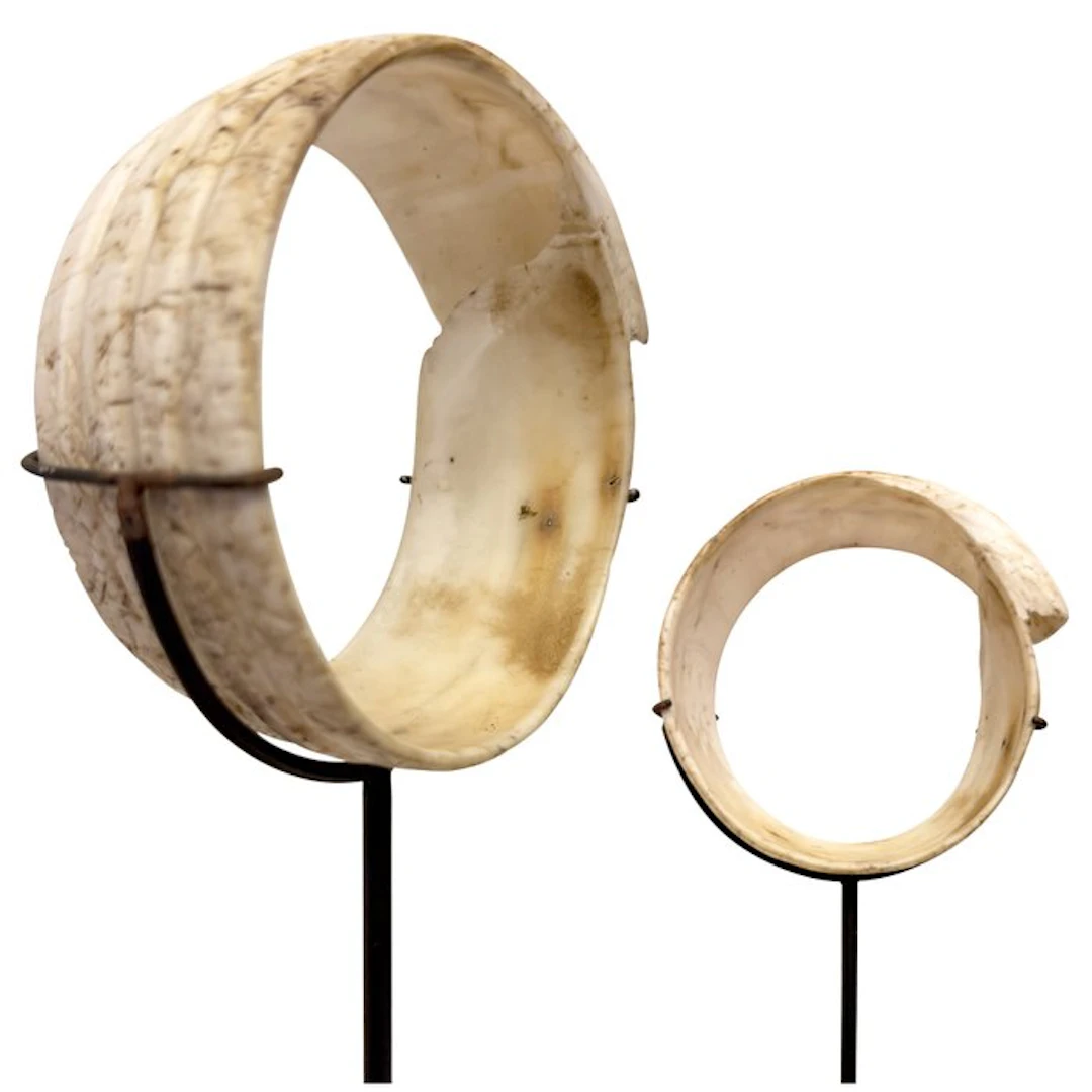 Conus shell bracelet - NO RESERVE! - Sarawak
